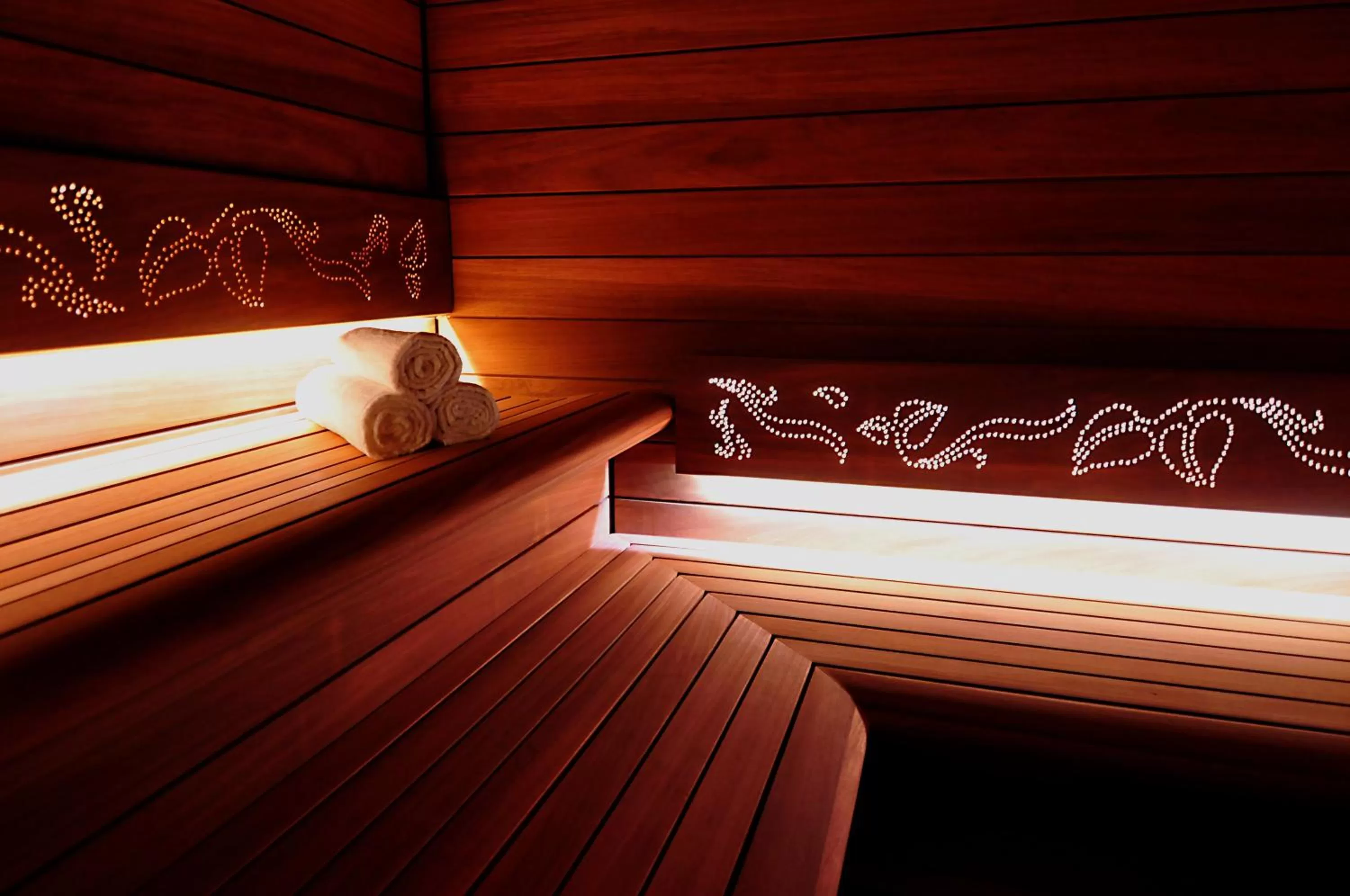 Sauna in Pałac Polanka