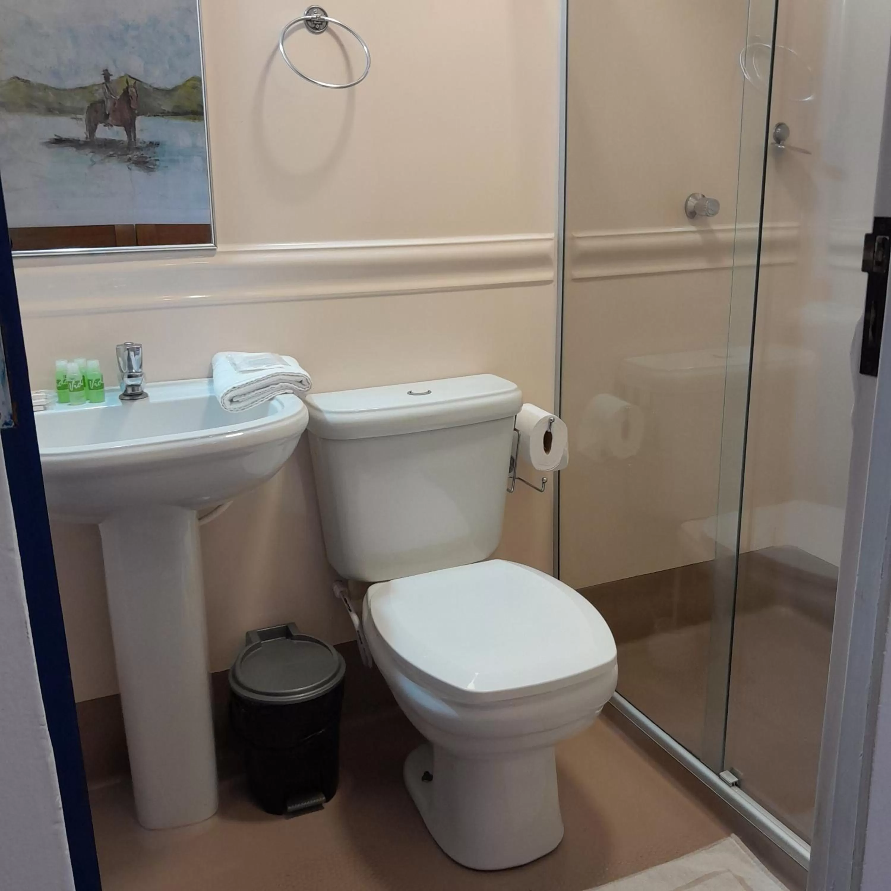 Shower, Bathroom in Hotel Barroco Mineiro