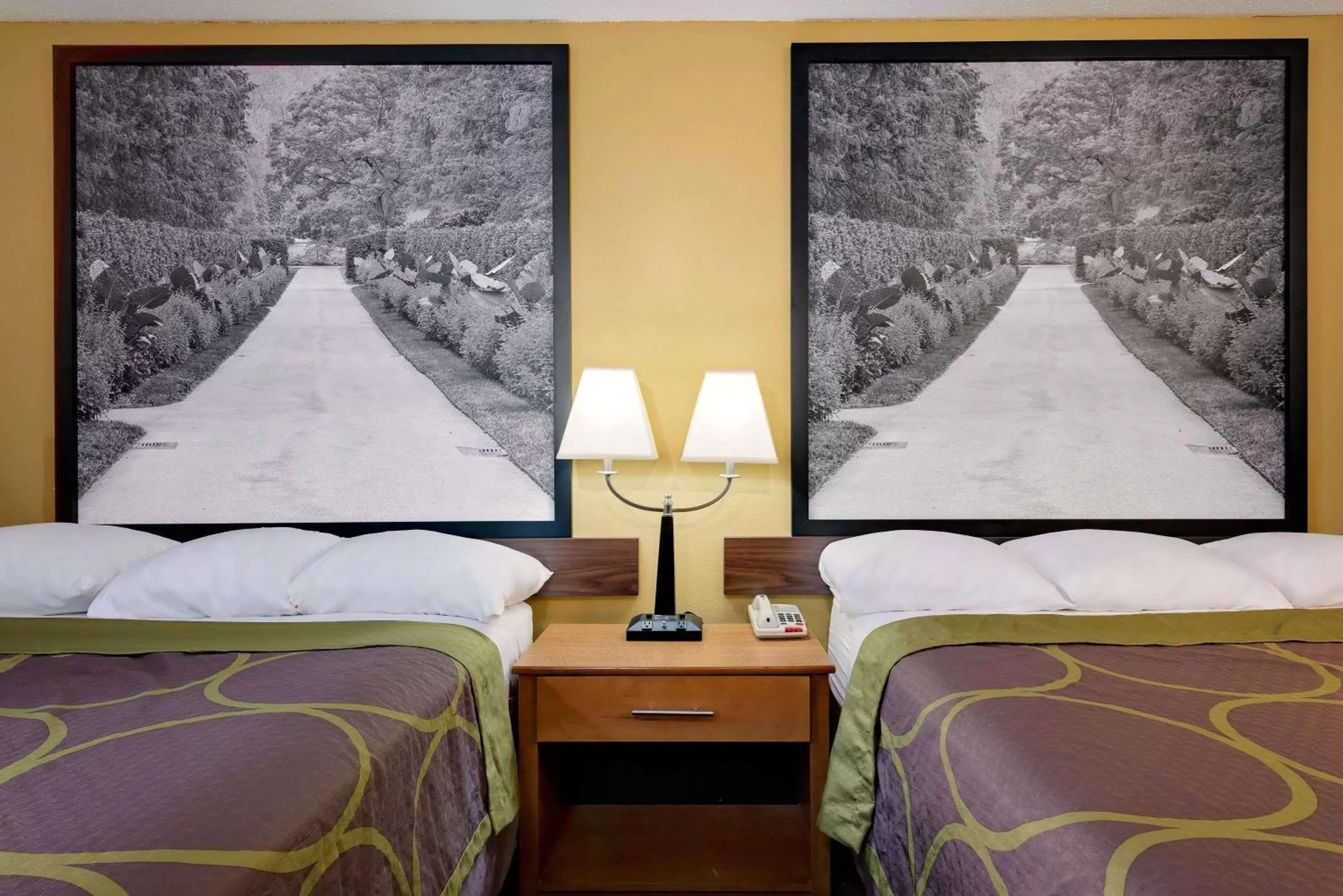 Photo of the whole room, Bed in Super 8 by Wyndham Allentown