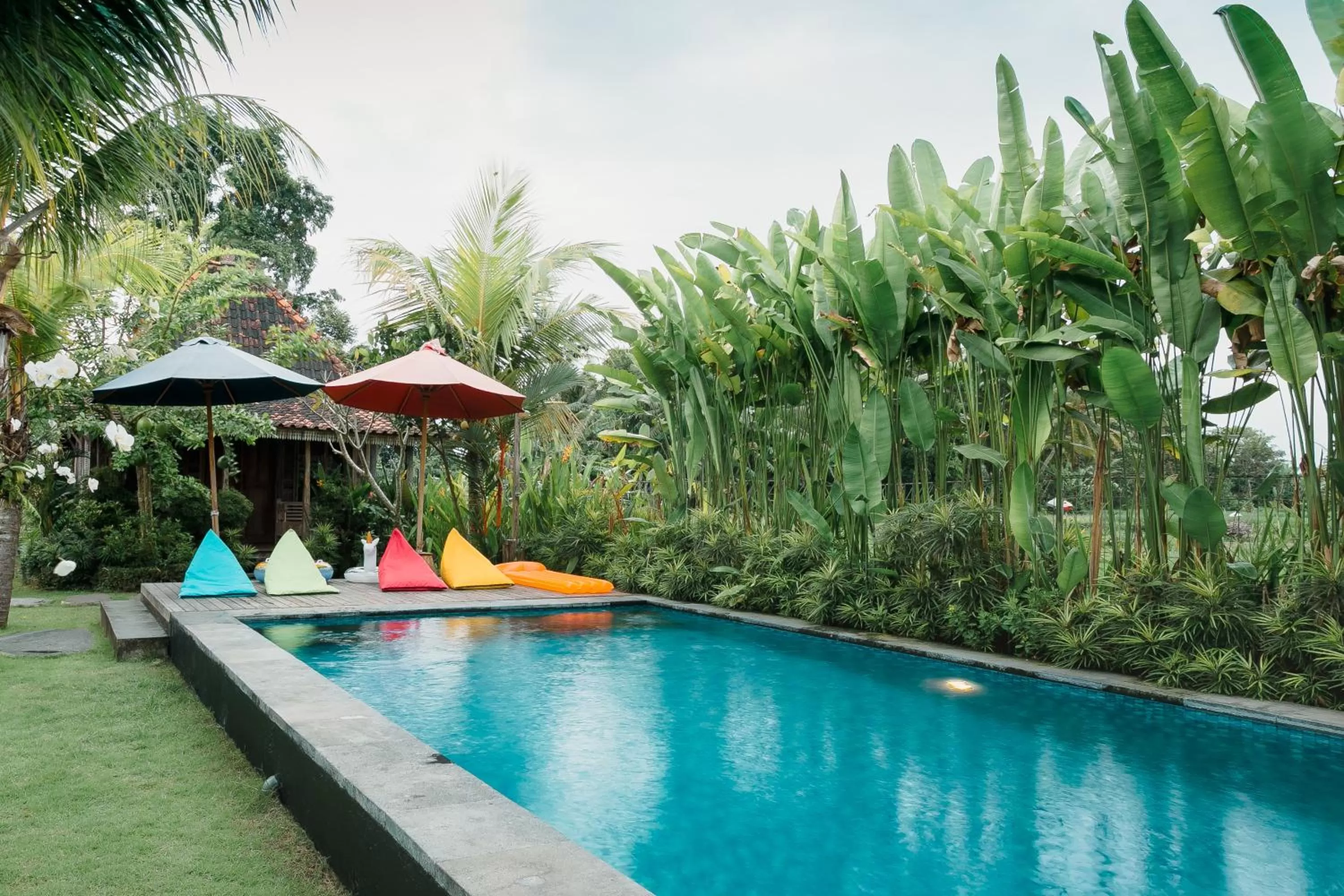 Pool view in Nauna Villa Ubud