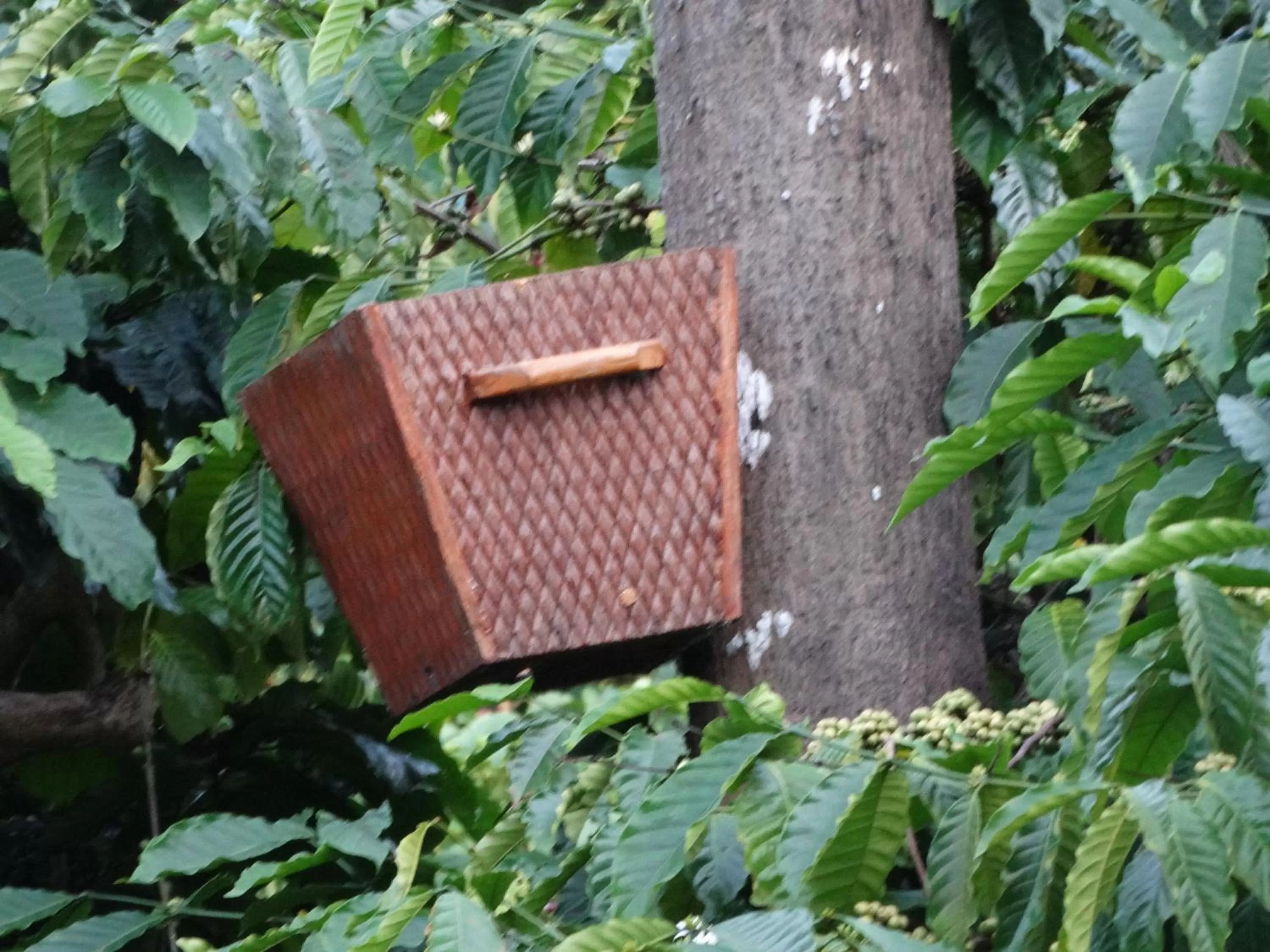 Other in Marmalade Springs Resort Wayanad