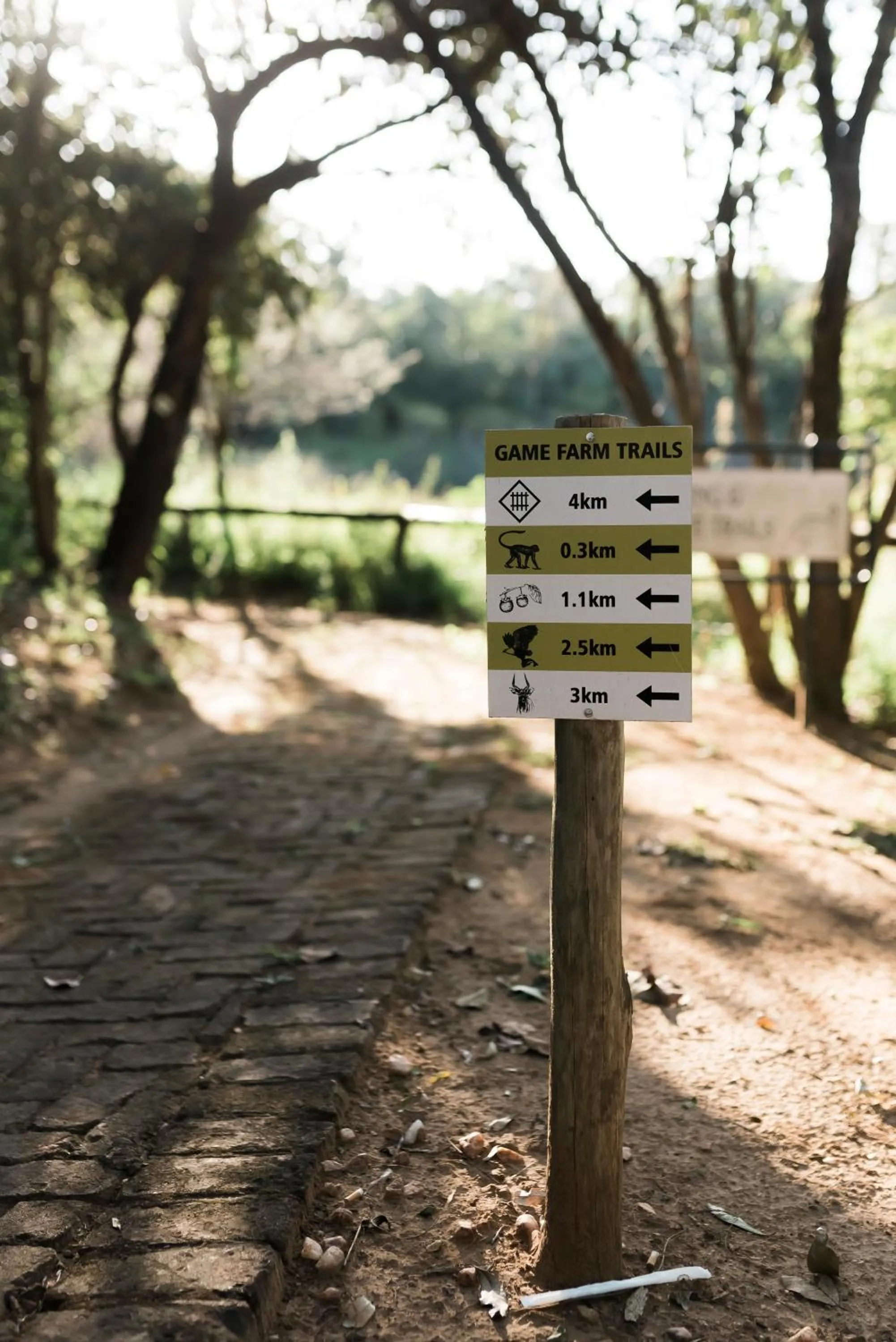 Activities in Tzaneen Country Lodge