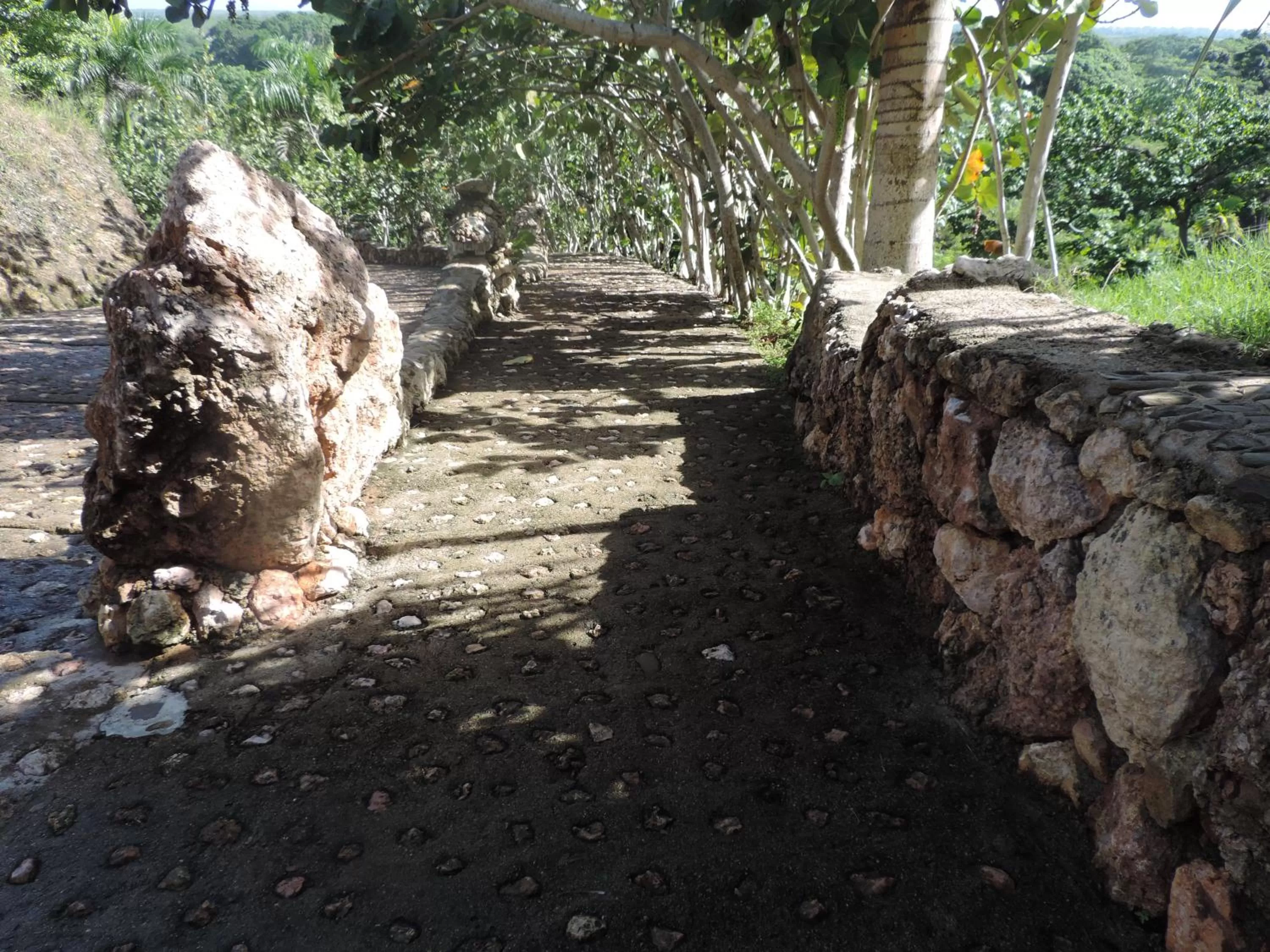 Nearby landmark in Altos de Caño Hondo