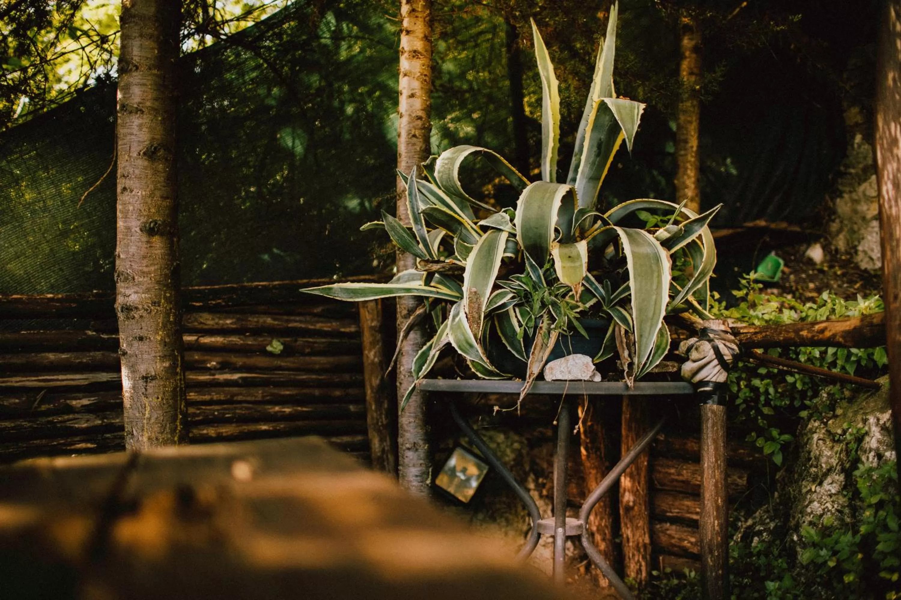 B&B La Voce del Fiume Dimora storica di Charme