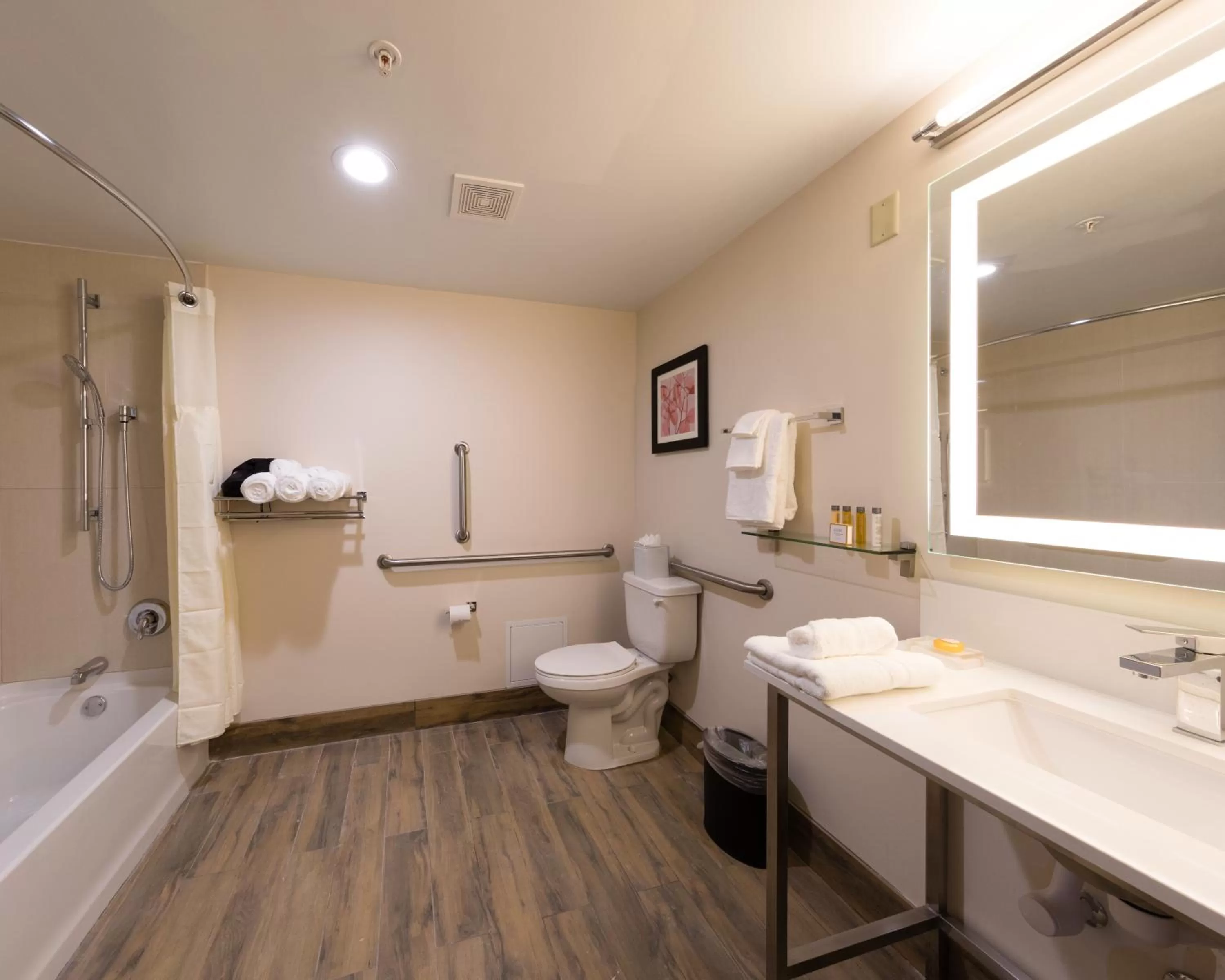 Toilet in Holiday Inn Brookfield - Milwaukee by IHG