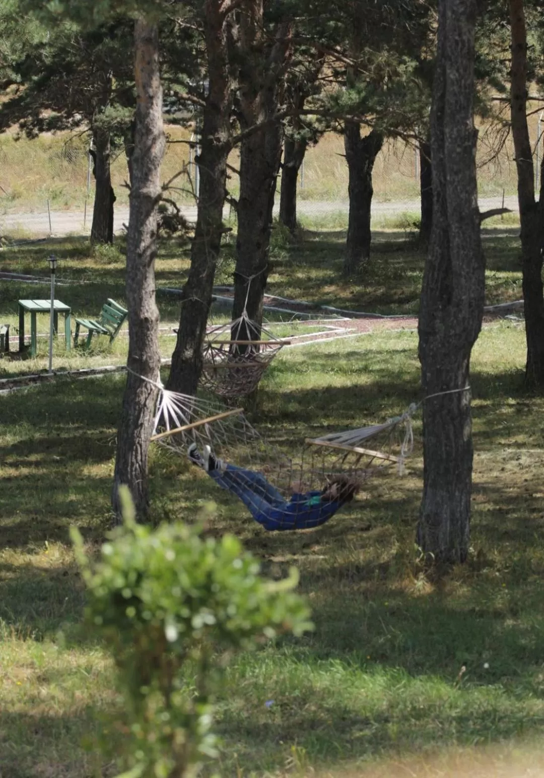 Natural landscape, Garden in Tsalka