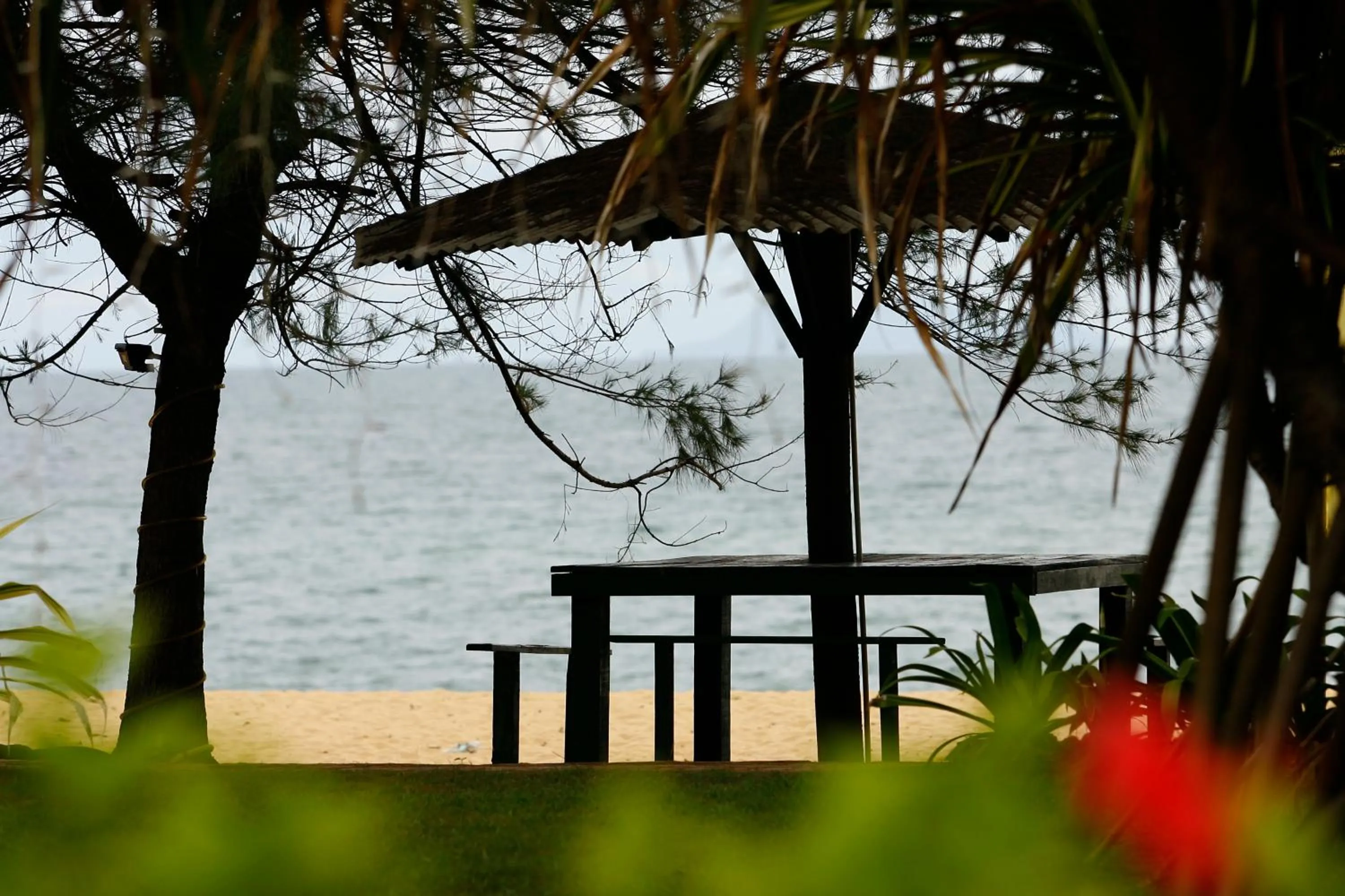 View (from property/room) in The Qamar Paka, Terengganu