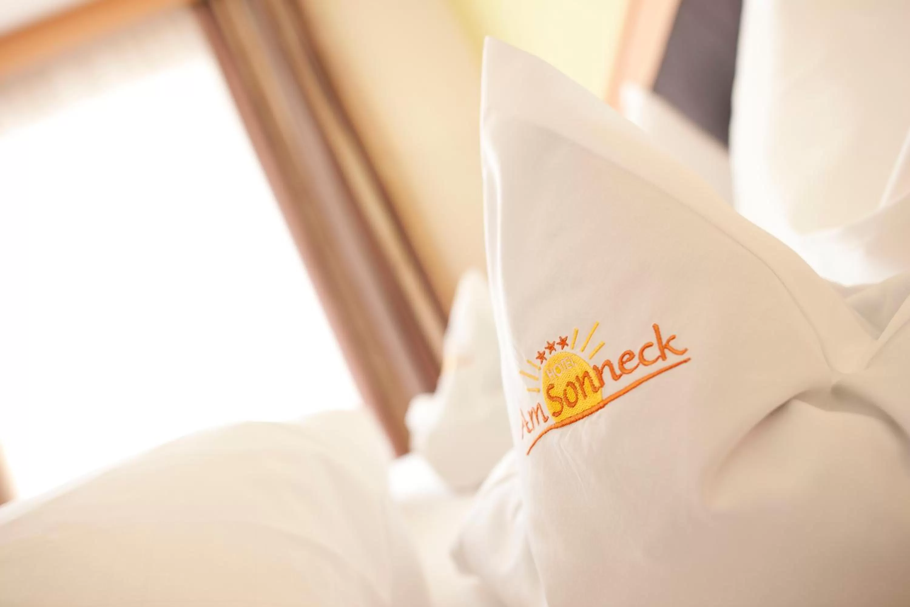 Property logo or sign in Hotel Am Sonneck