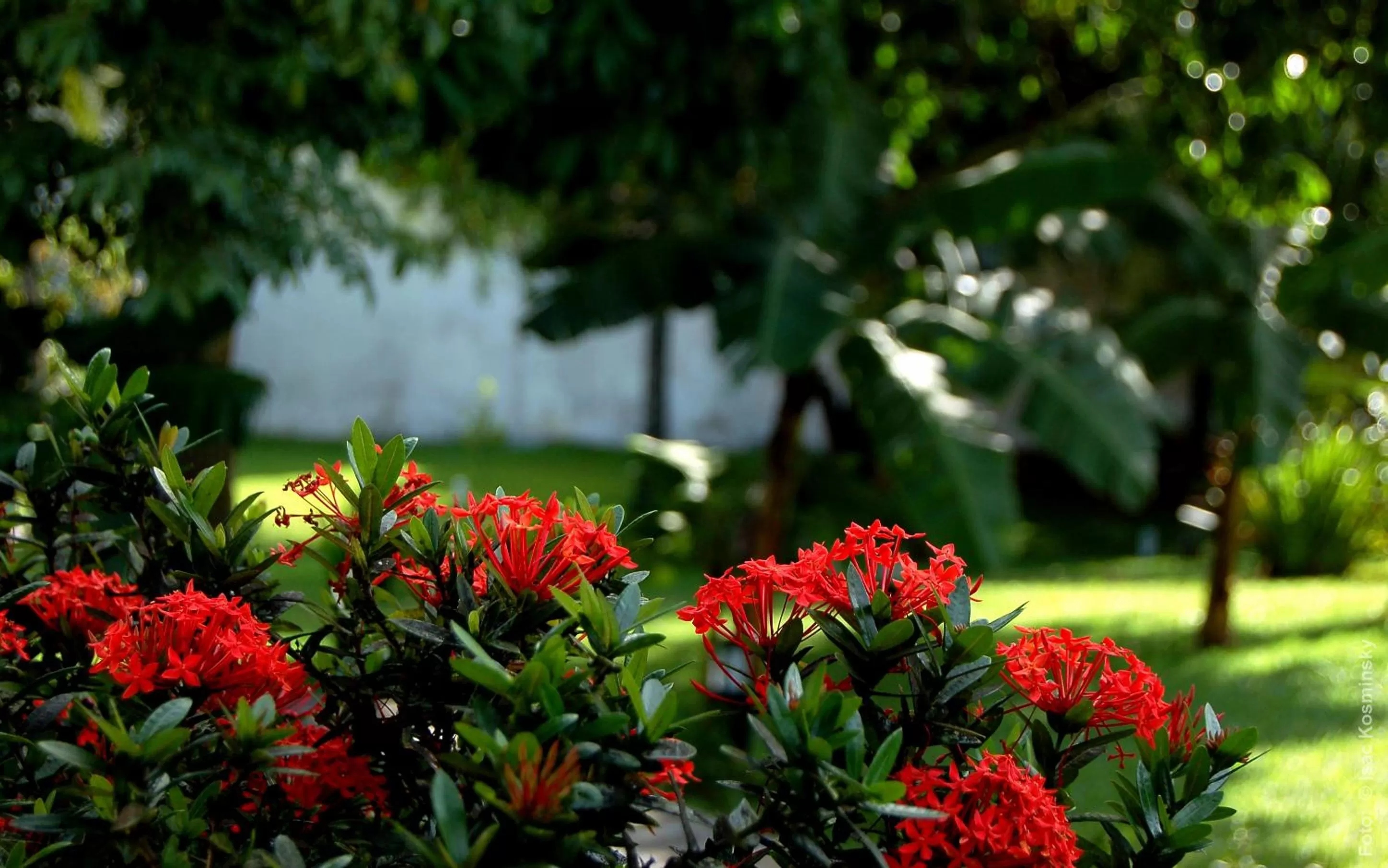 Spring in Hotel Pousada Salvador Paradise