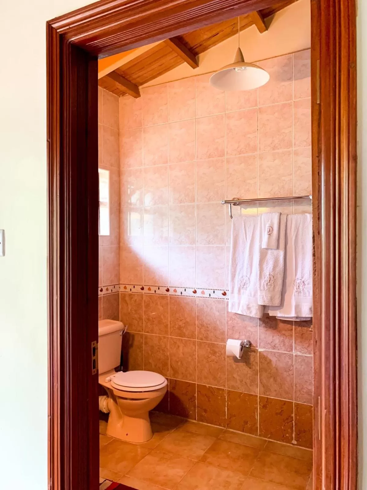 Shower in Oilepo Cottage