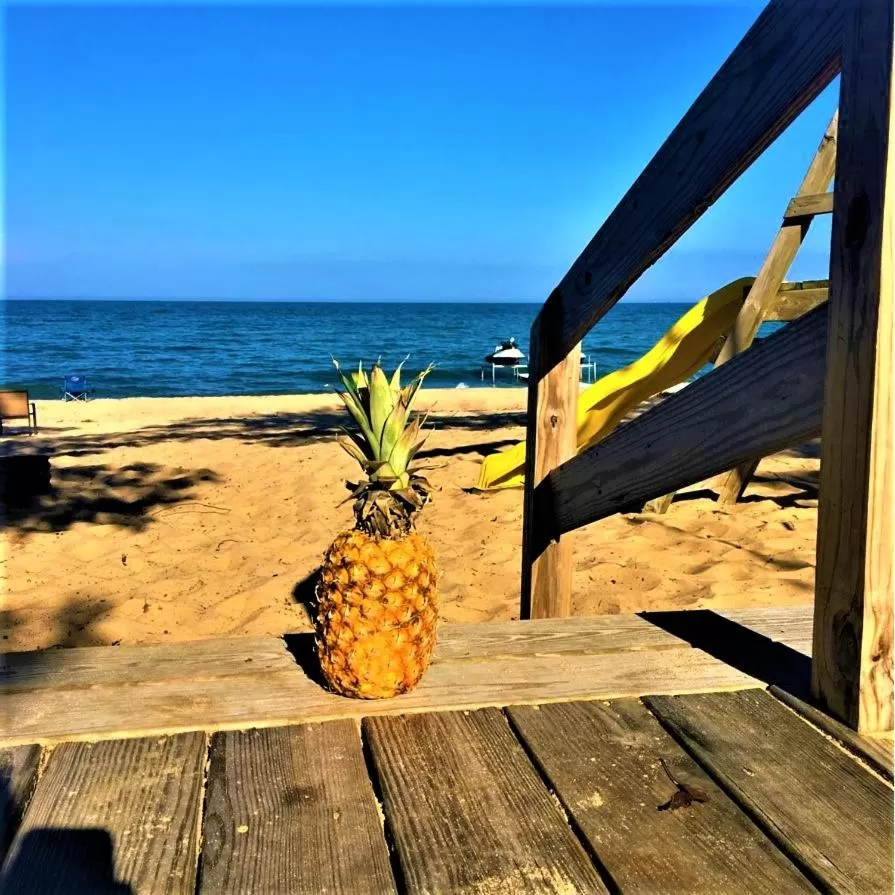 Day in Gold Coast Family Cottages