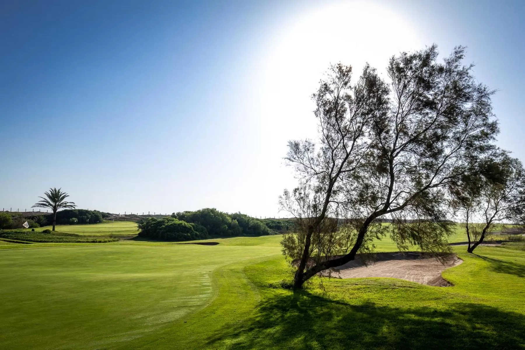 Golfcourse in Parador de El Saler