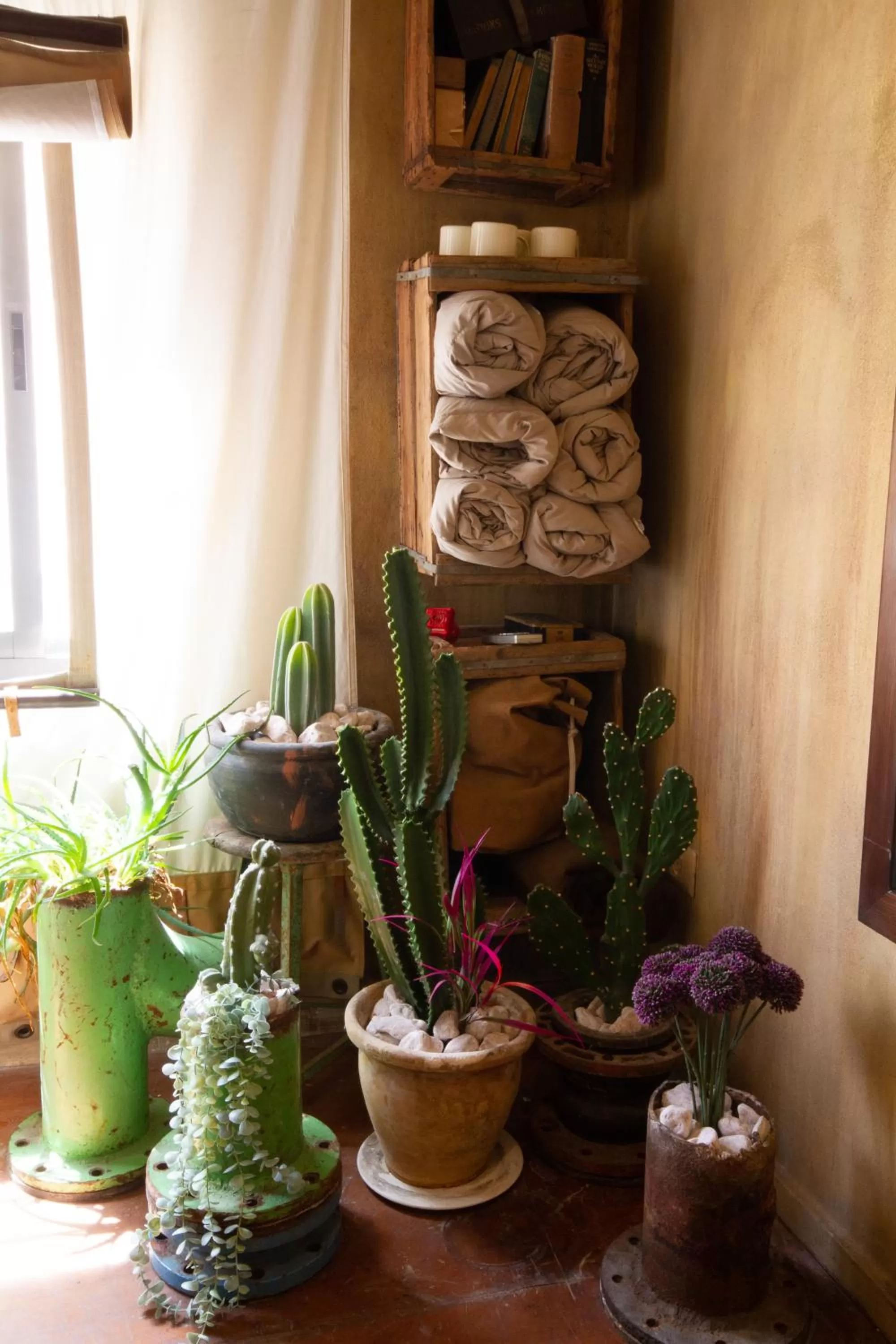 The Walled Off Hotel