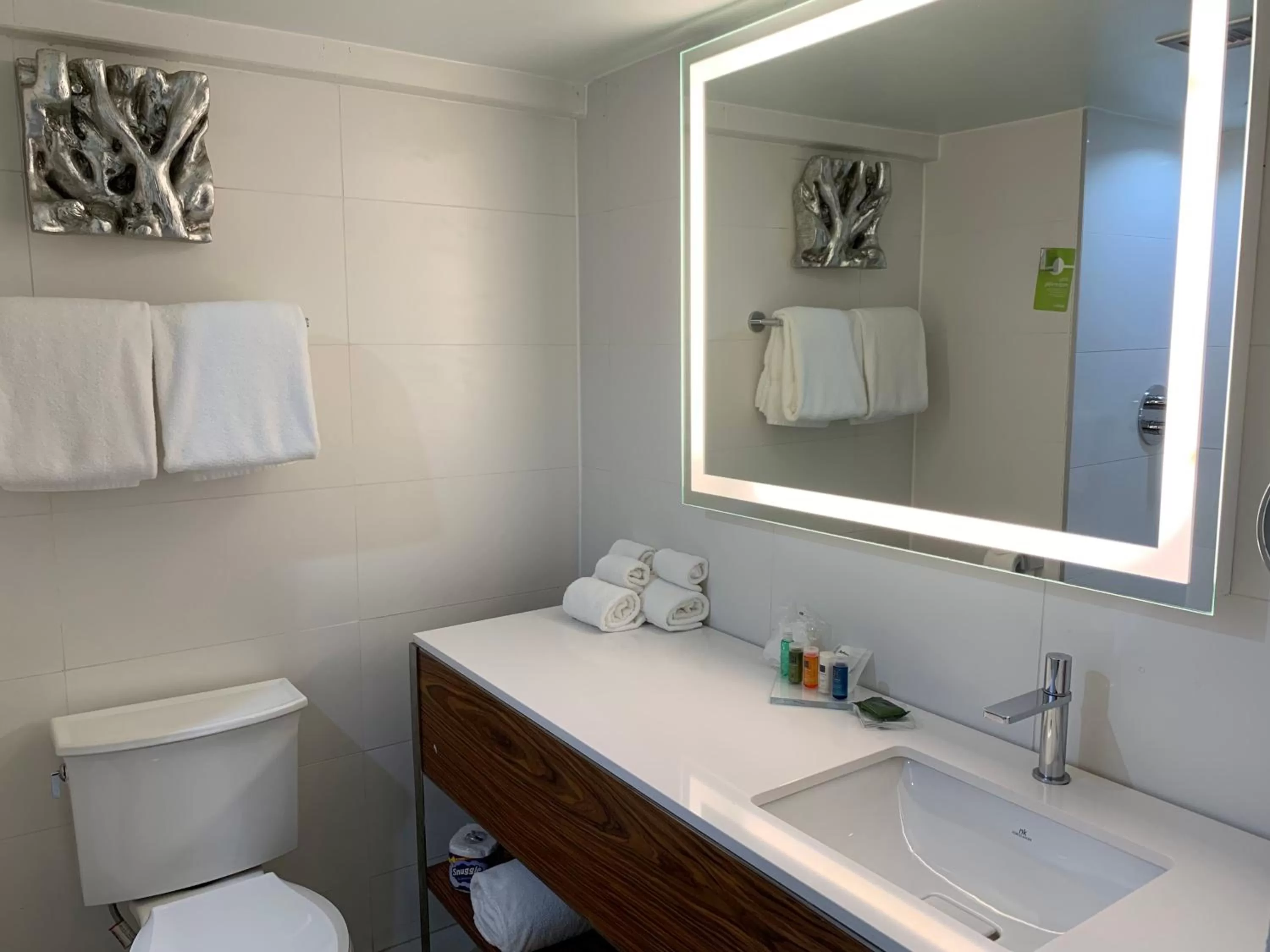 Bathroom in Radisson Hotel Trinidad