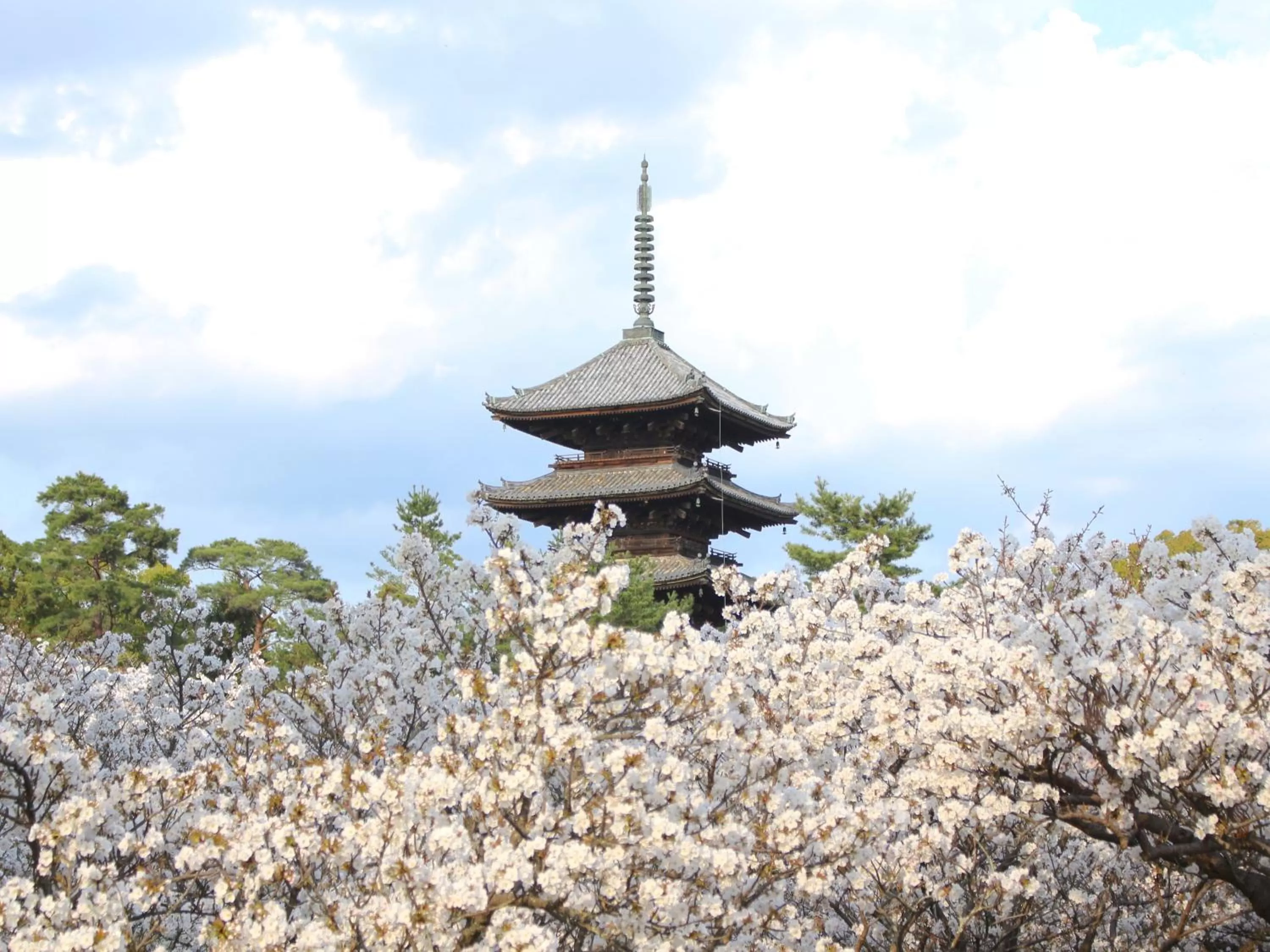 Nearby landmark in Hotel Wing International Kyoto - Shijo Karasuma