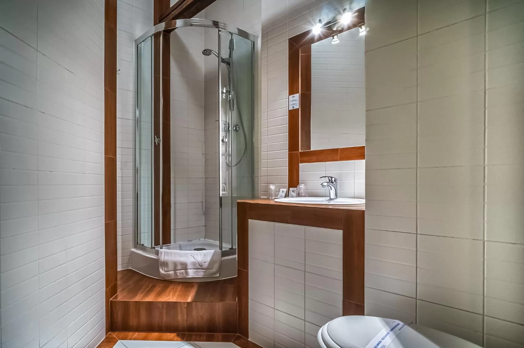 Shower, Bathroom in Old Time Hotel