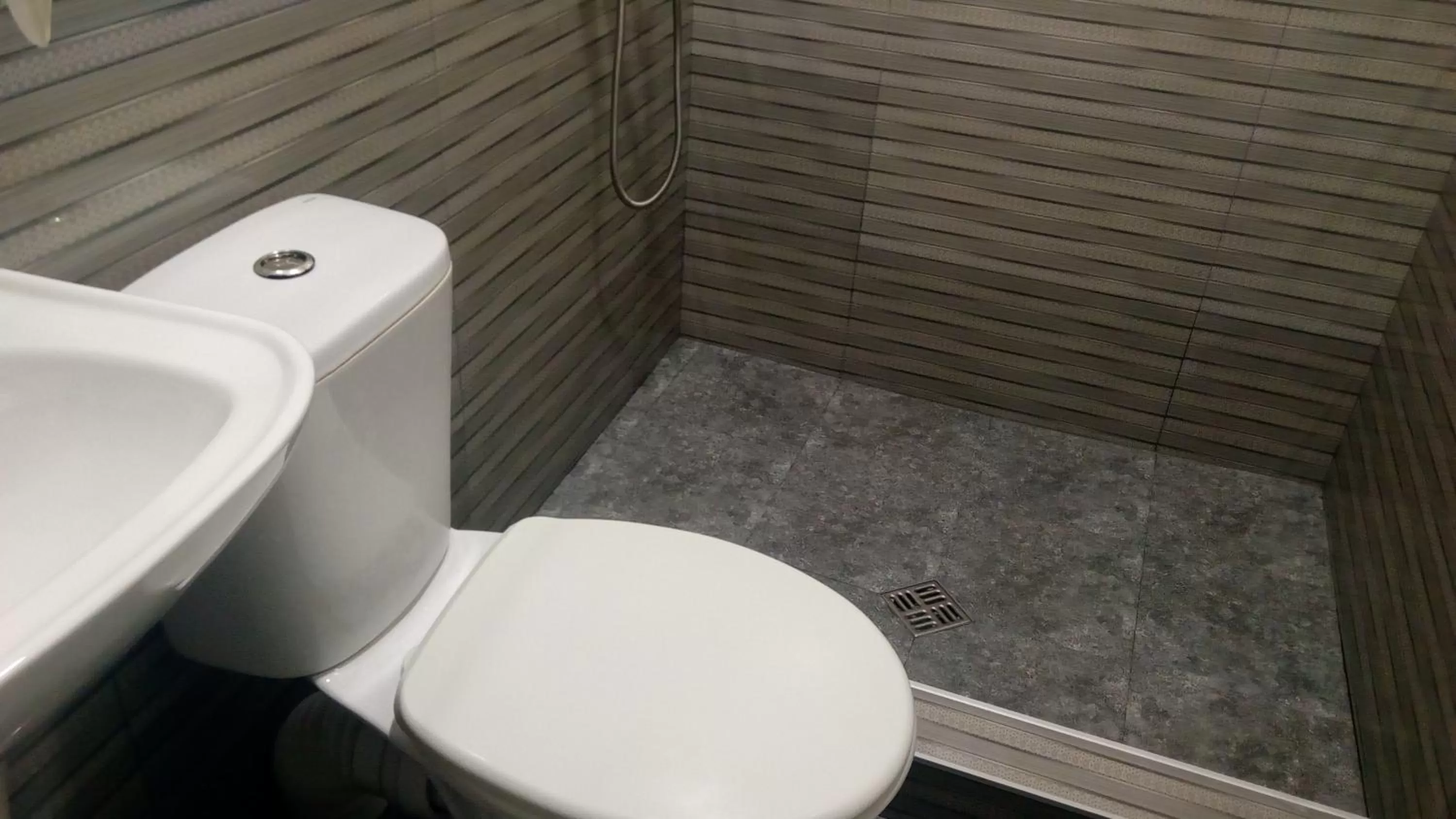 Shower in Hotel Isani