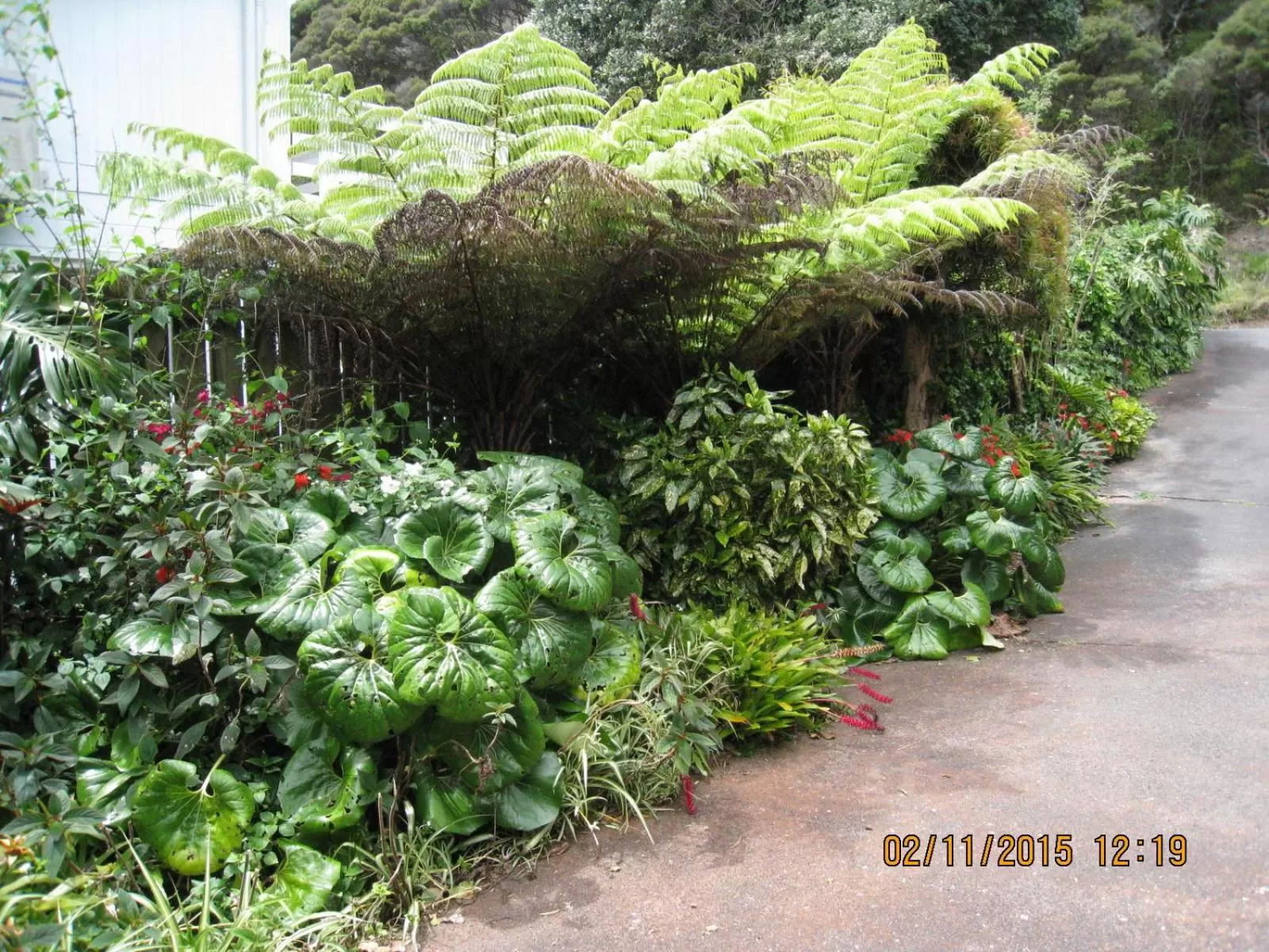 Other in Alfa Boutique Motel