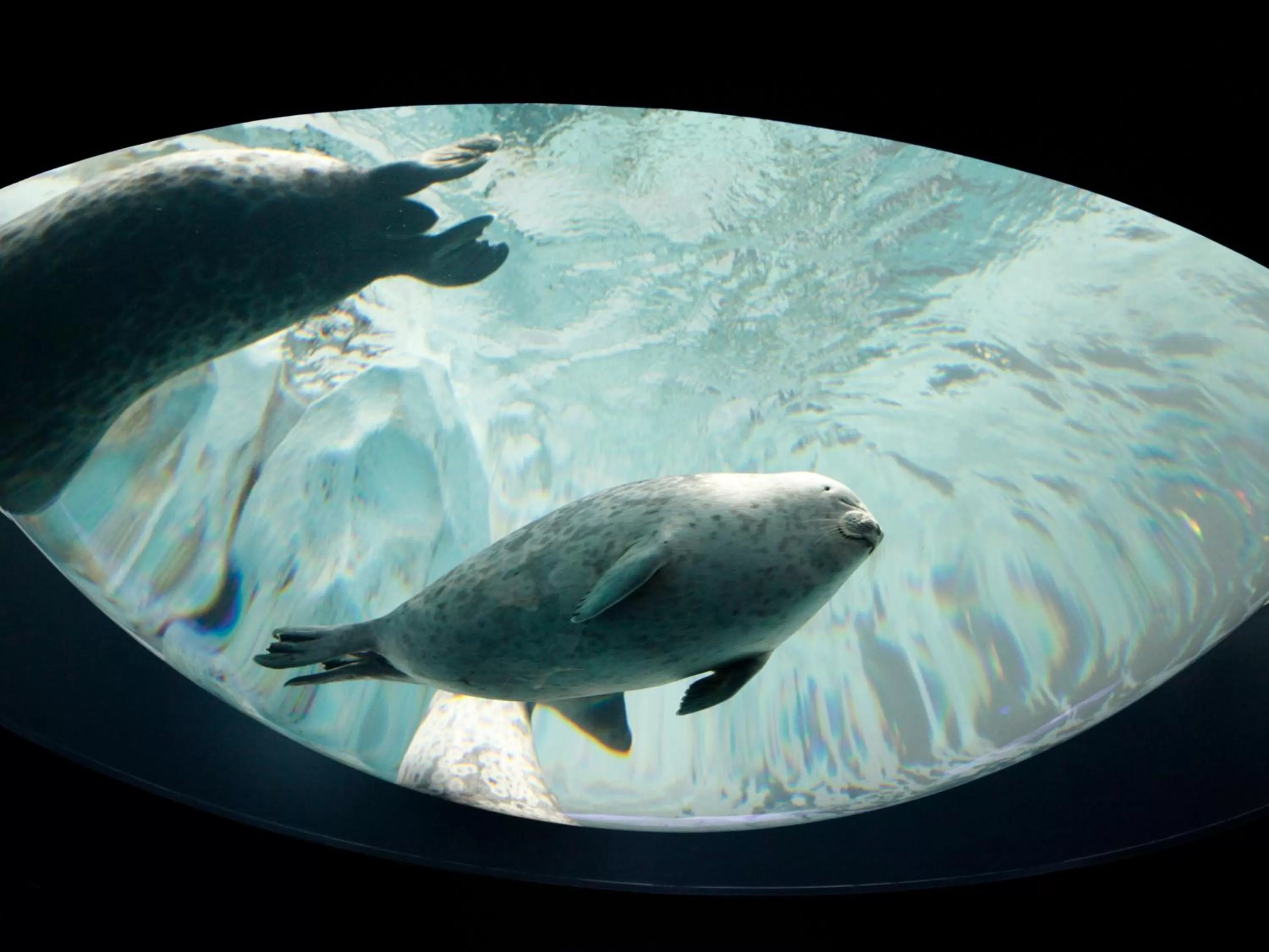 Nearby landmark in Hotel Wing International Select Osaka Umeda