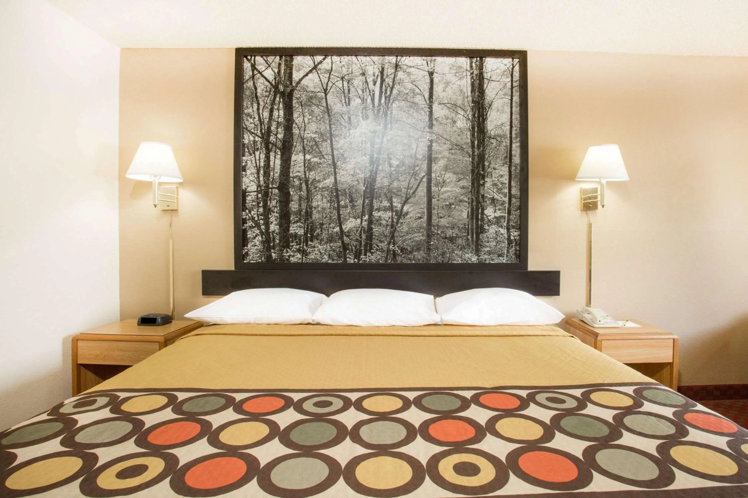 Photo of the whole room, Bed in Super 8 by Wyndham Lexington VA