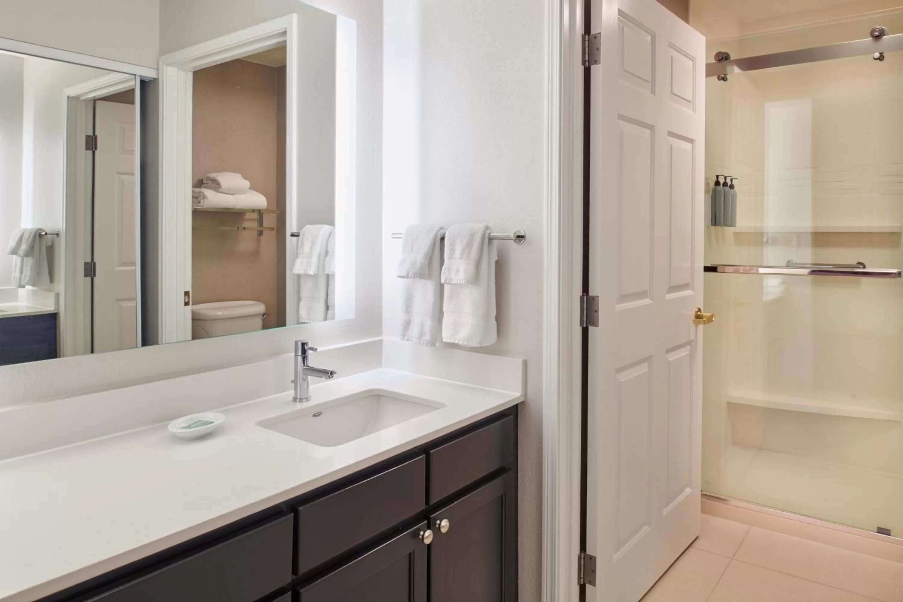 Bathroom in Residence Inn by Marriott Detroit / Novi