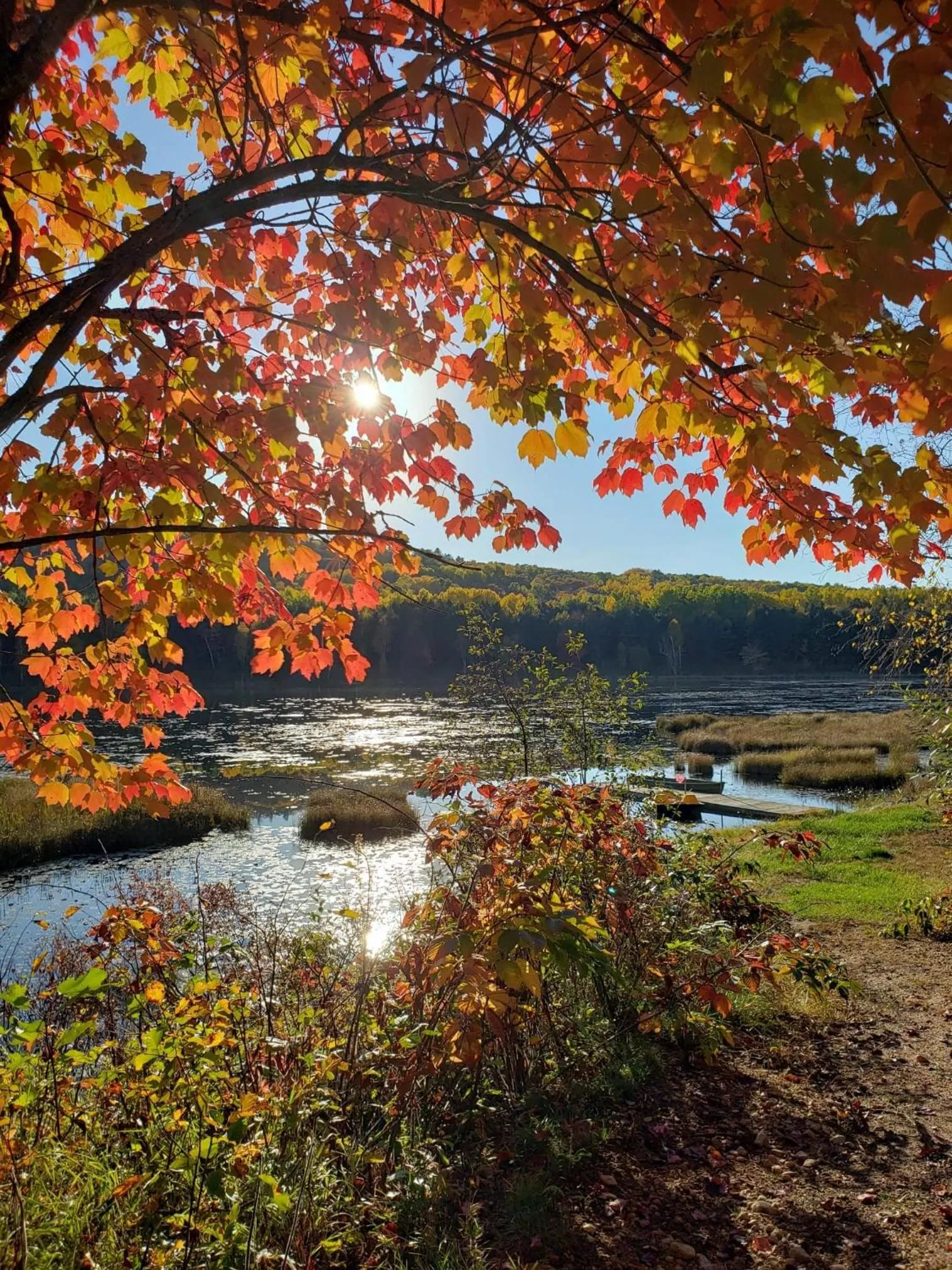 Natural landscape in Hush Lodge and Cottages