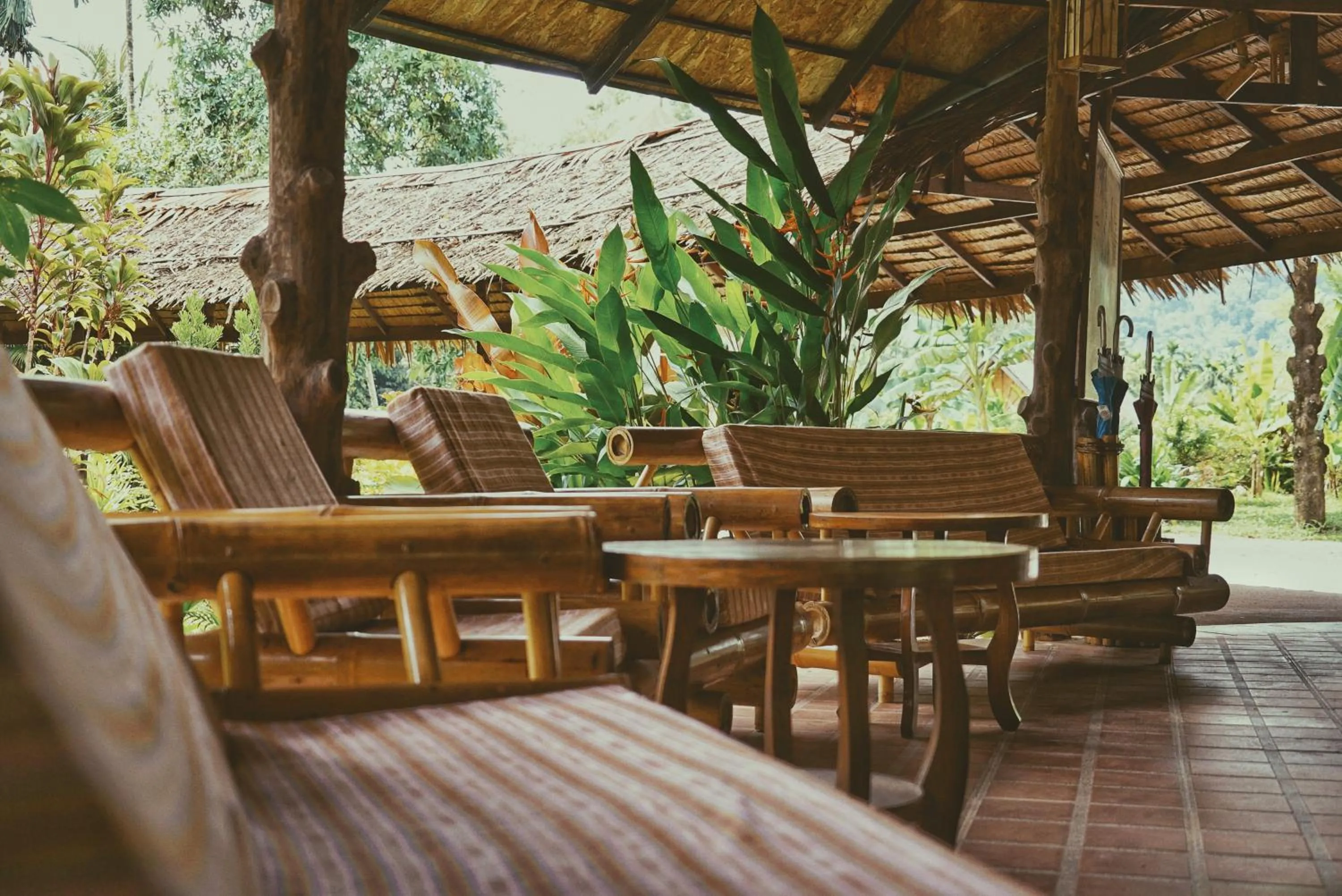 Facade/entrance in Our Jungle Camp - Eco Resort