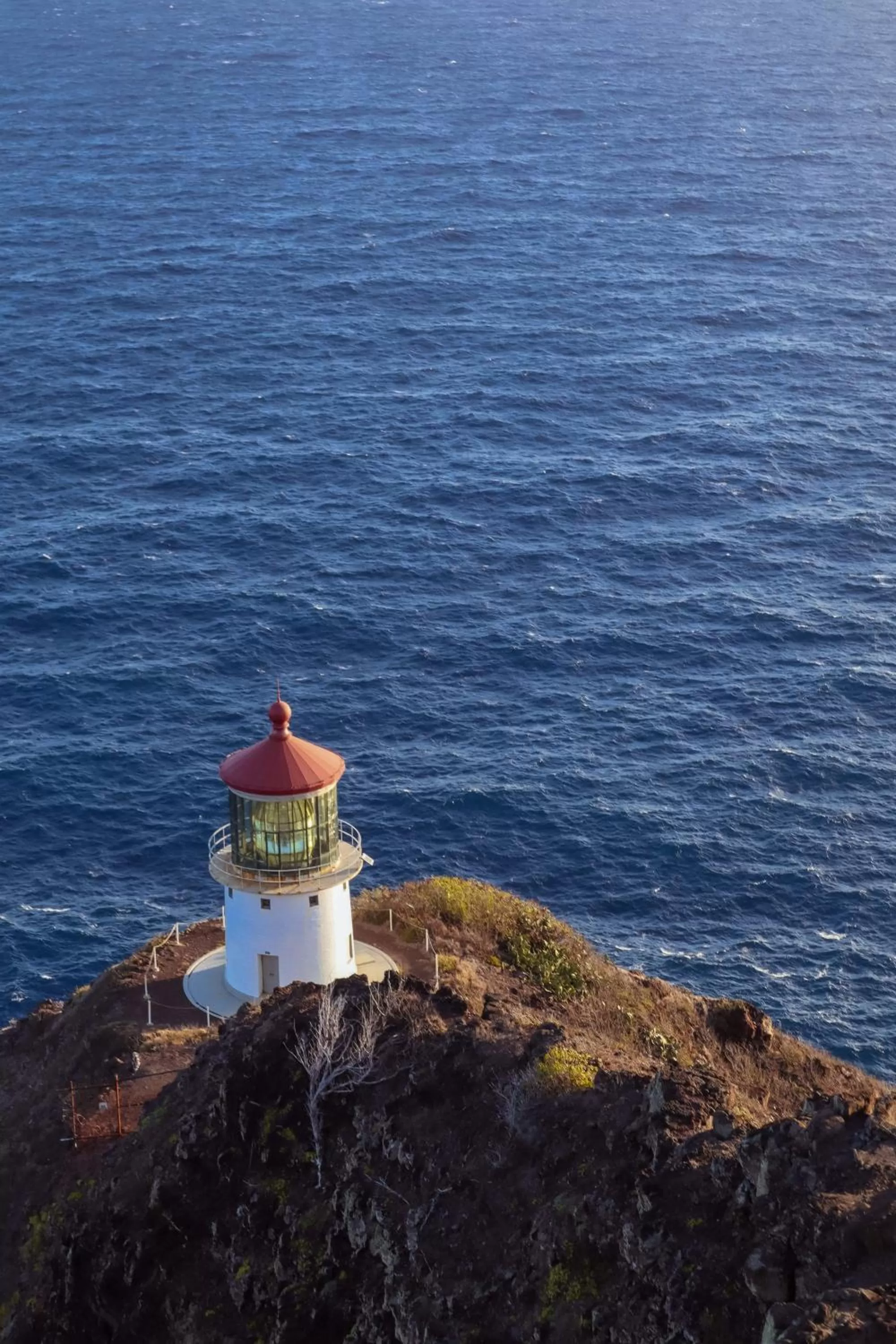 View (from property/room) in Ohia Waikiki Studio Suites