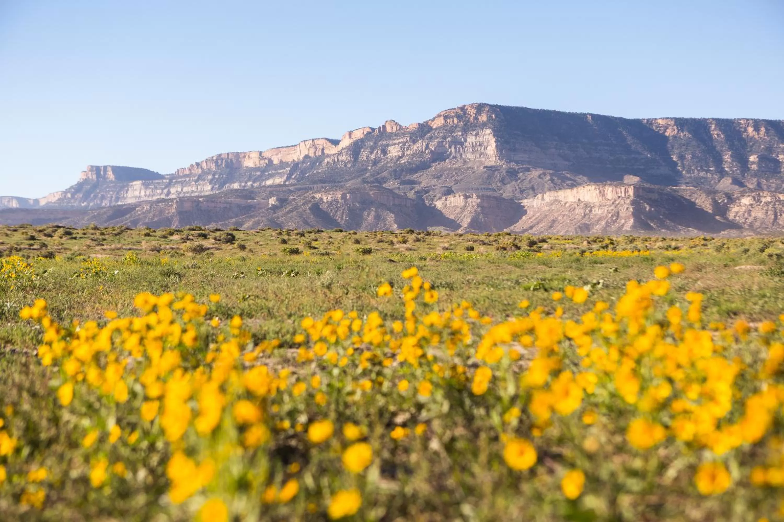 Activities in Kayenta Monument Valley Inn