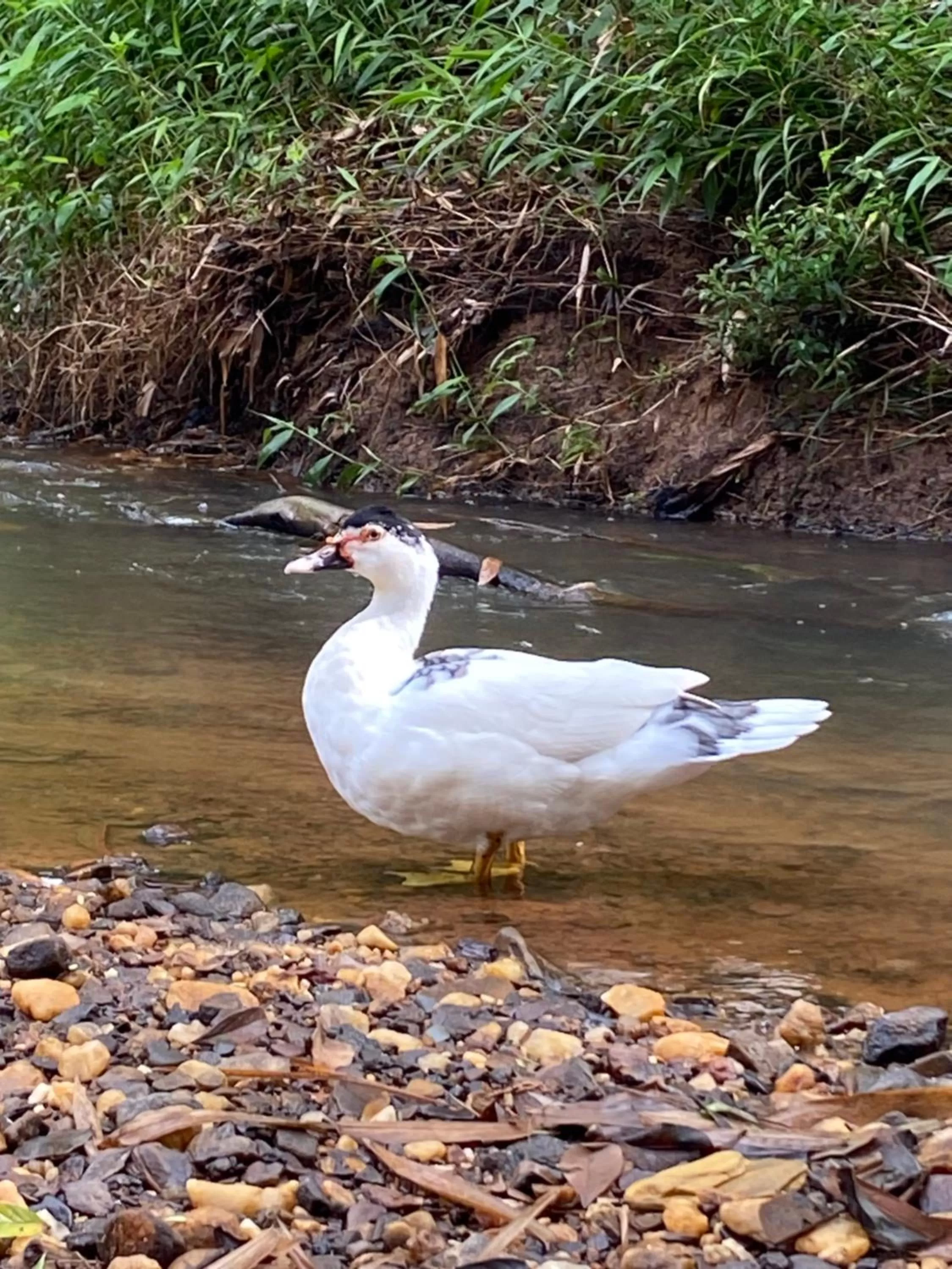 Pousada Cantinho do Mundo