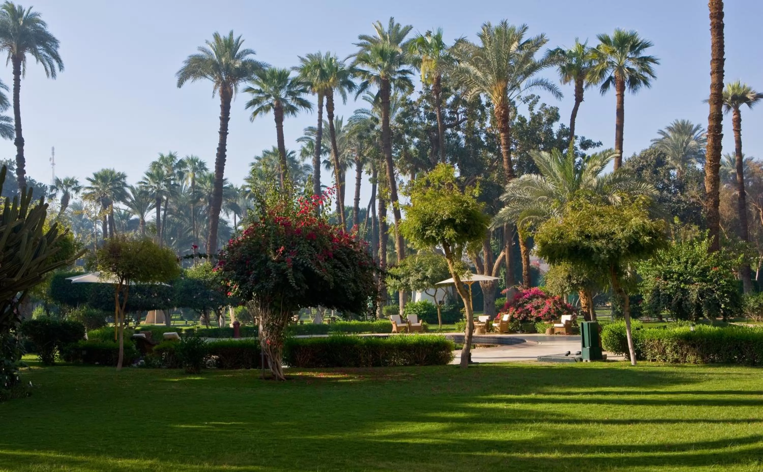 Garden in Pavillon Winter Luxor