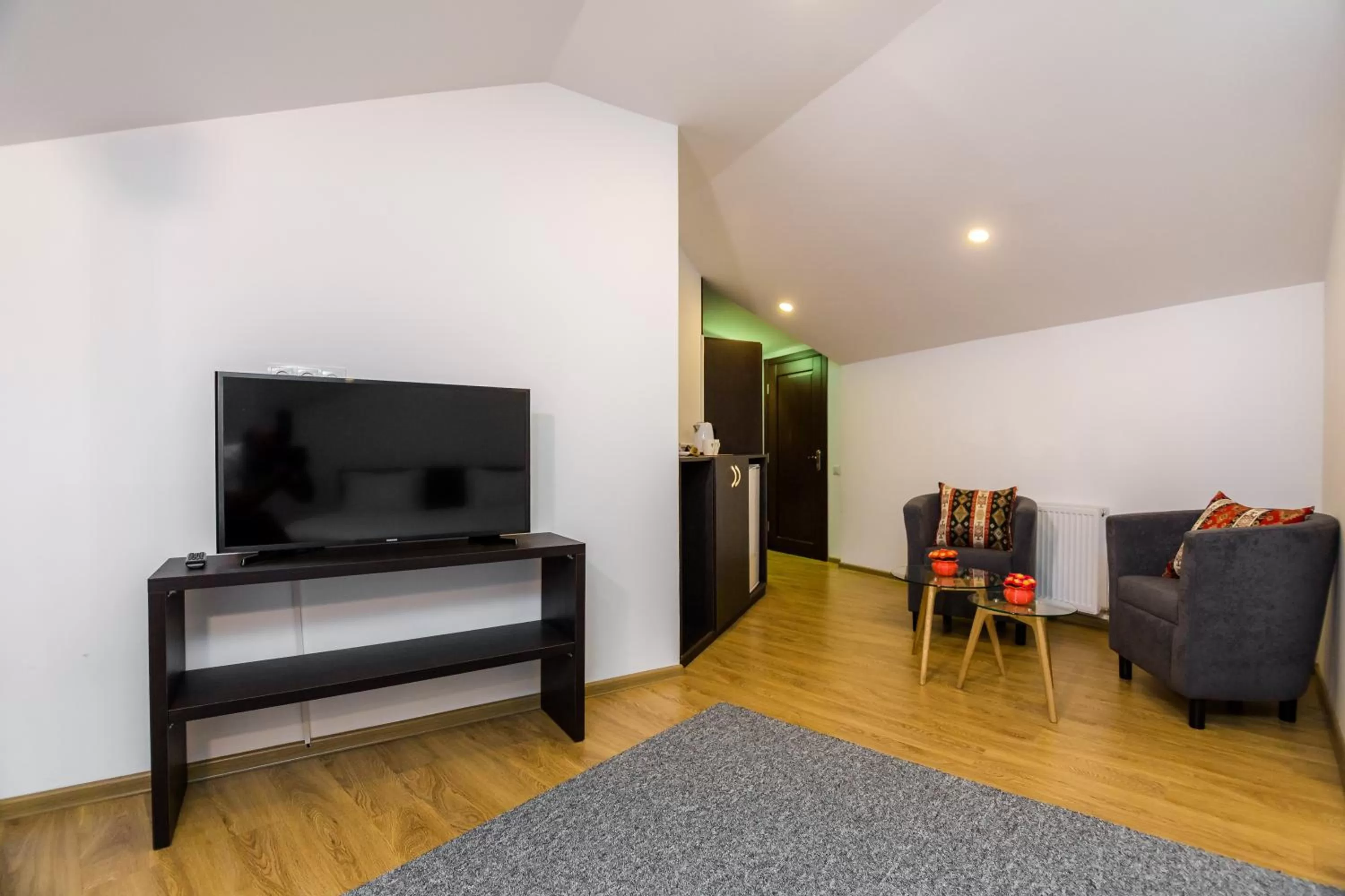 TV and multimedia in VovaDoma