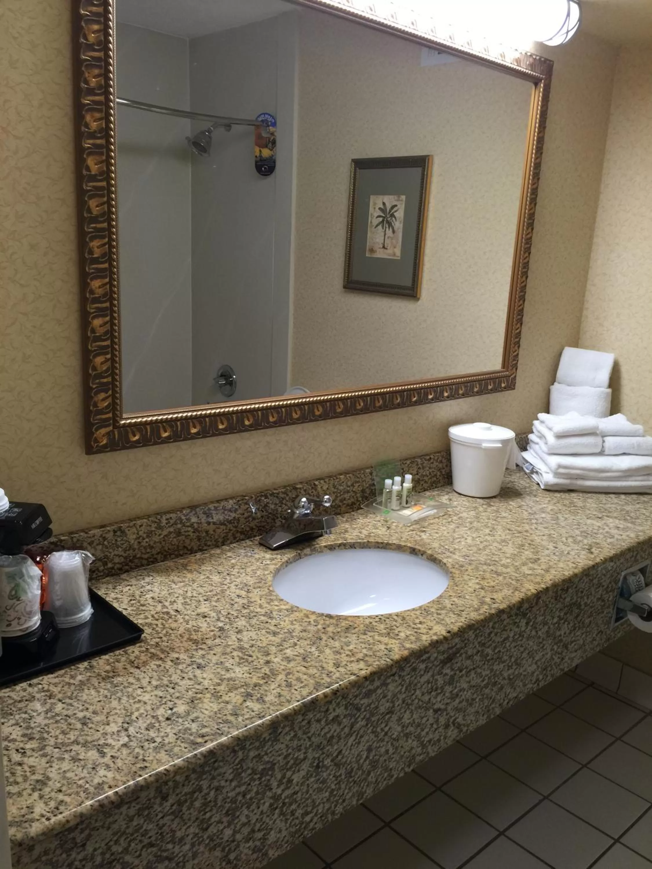 King Room with Bath Tub - Disability Access/Non-Smoking  in Holiday Inn Lumberton, an IHG Hotel