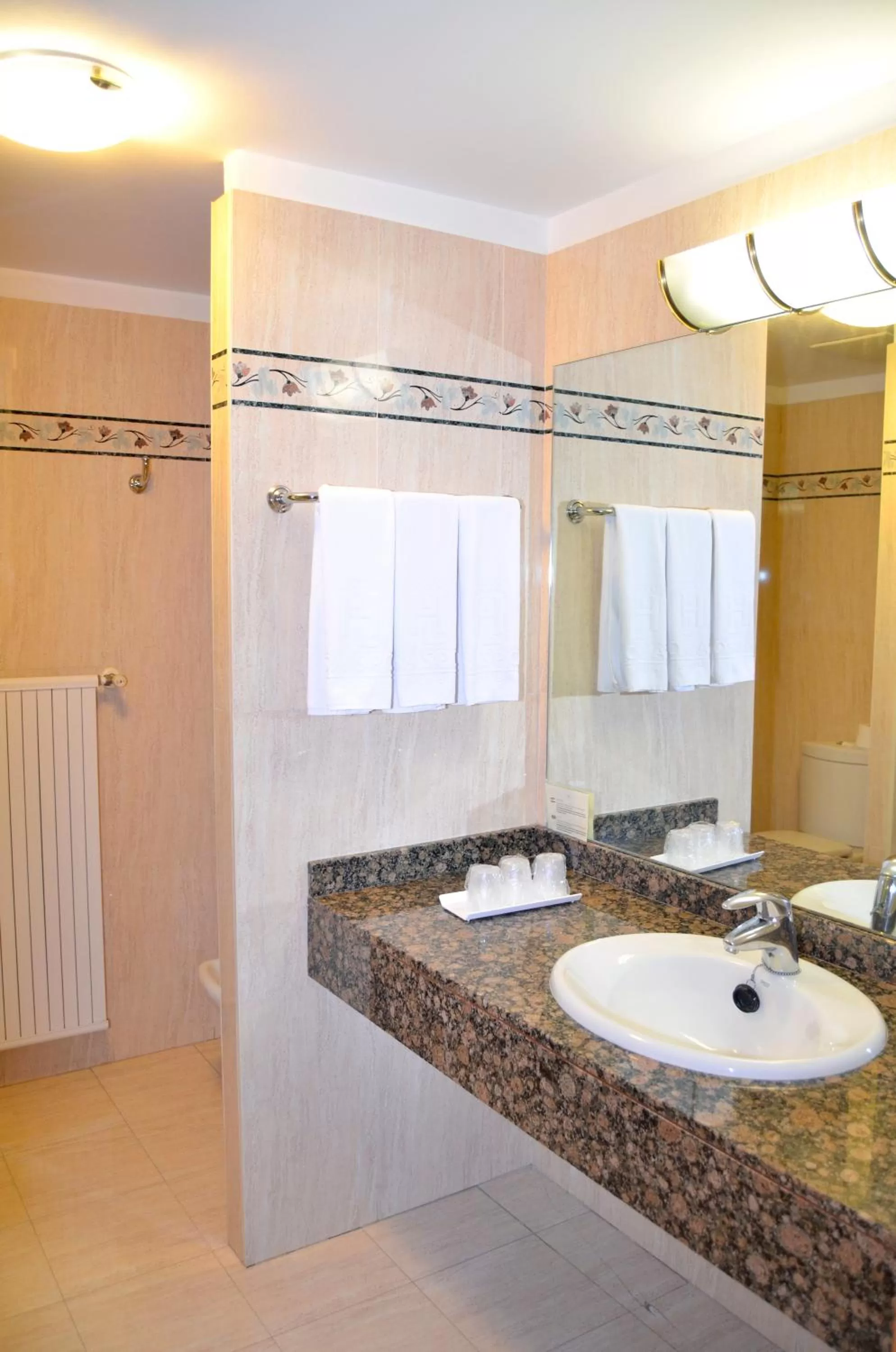 Bathroom in Hotel Lasa Sport