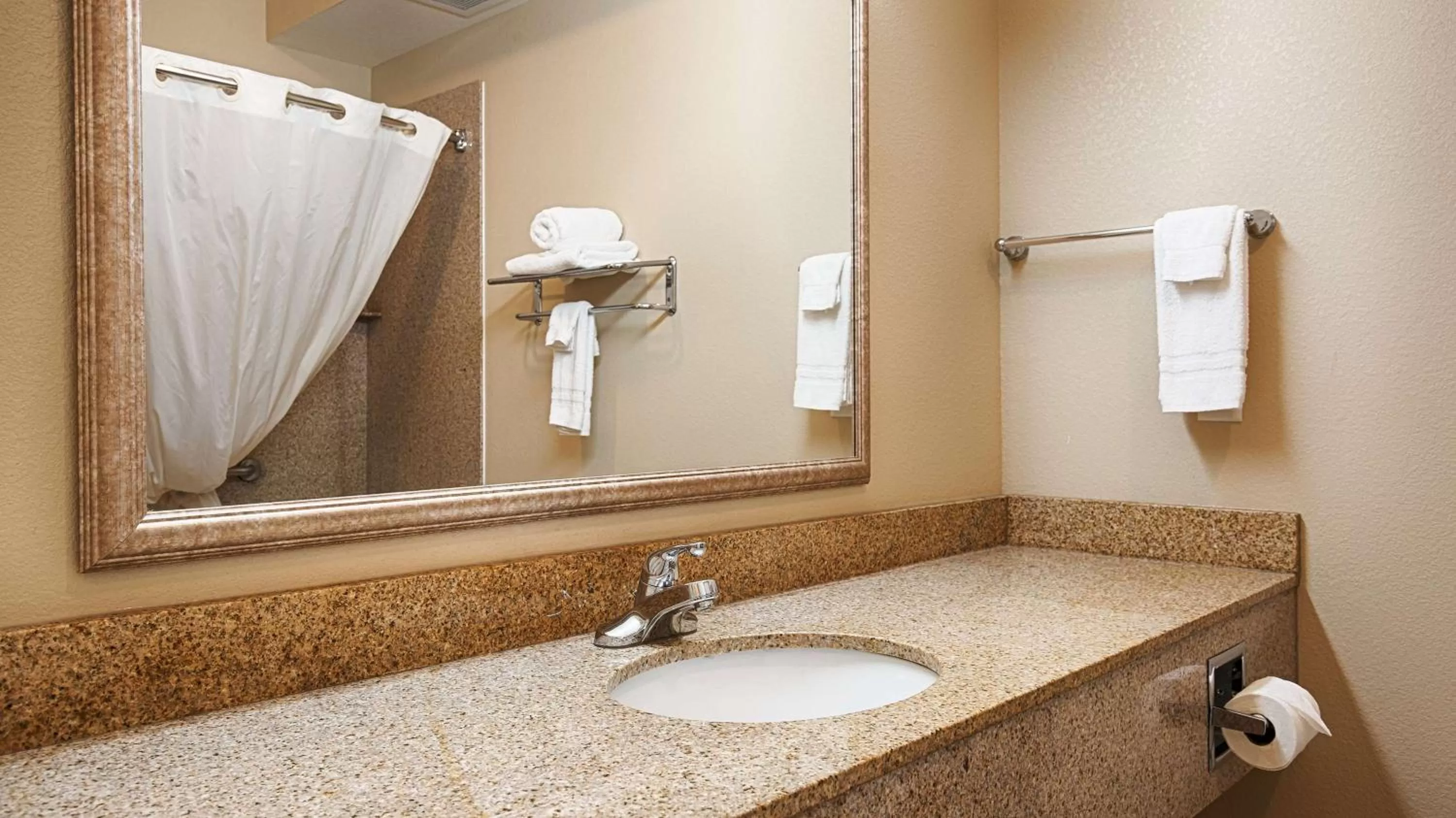 Bathroom in Best Western Inn & Suites - Henrietta