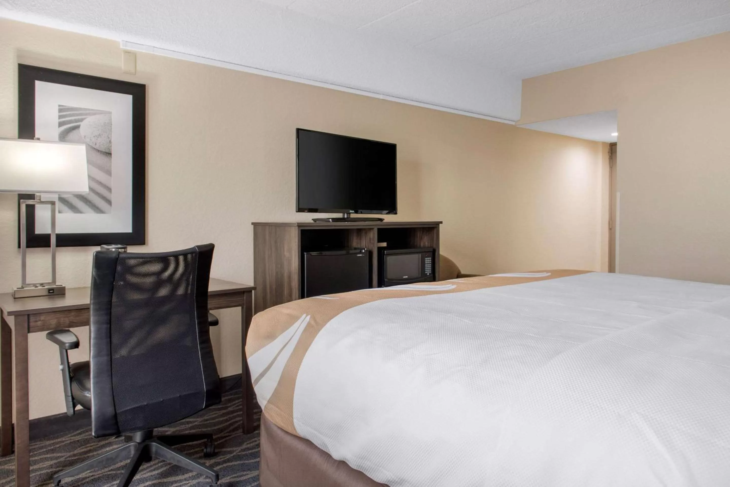 TV and multimedia, Bed in Quality Inn and Conference Center