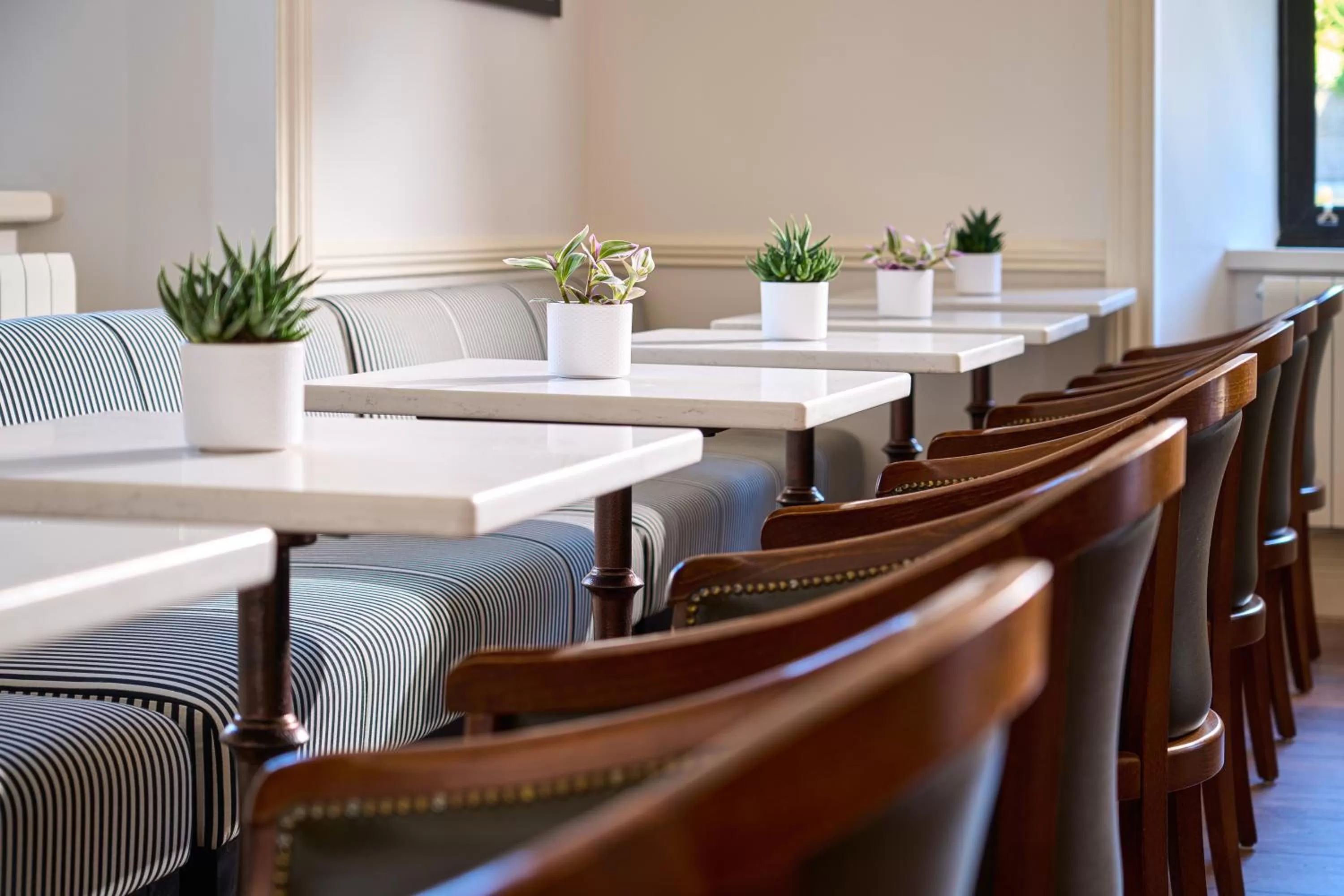 Restaurant/places to eat in The Lansdowne Kenmare