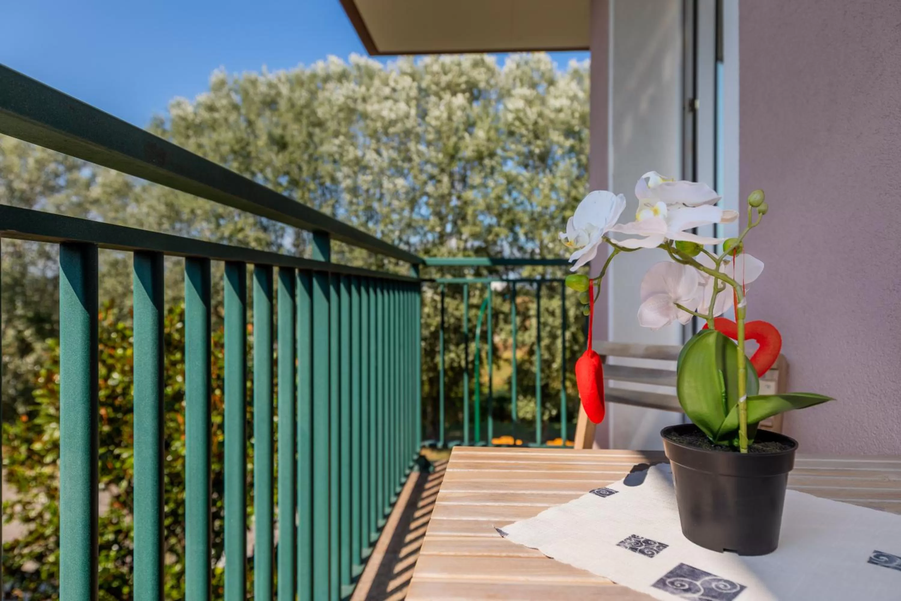 Balcony/Terrace in Hotel Palladio