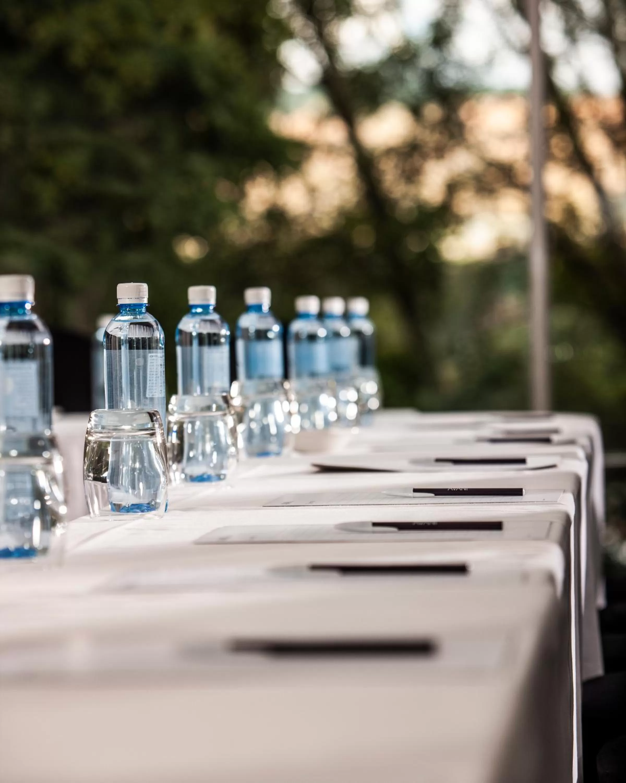 Business facilities in Avani Maseru Hotel