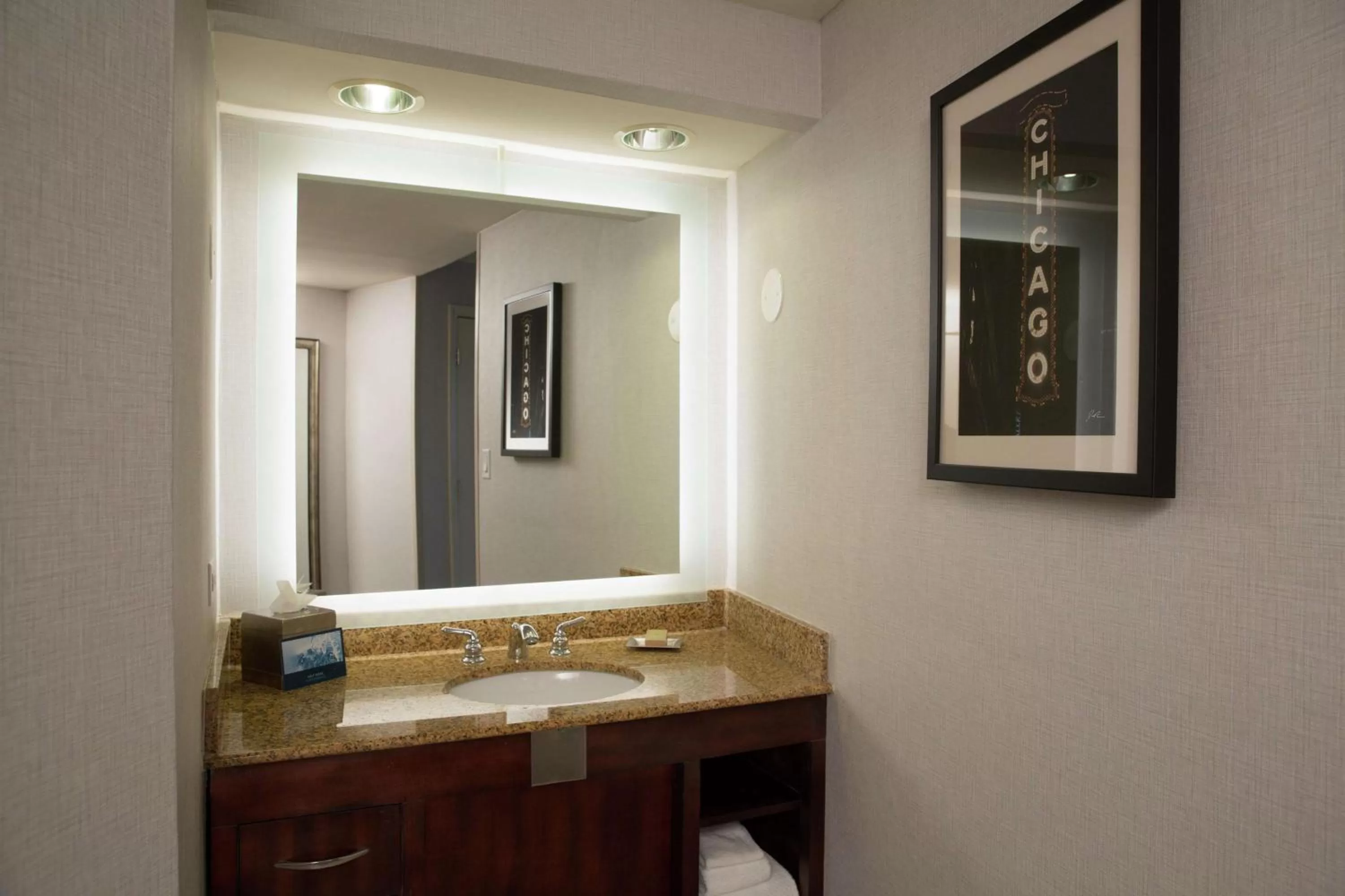 Bathroom in Hilton Chicago/Oak Lawn