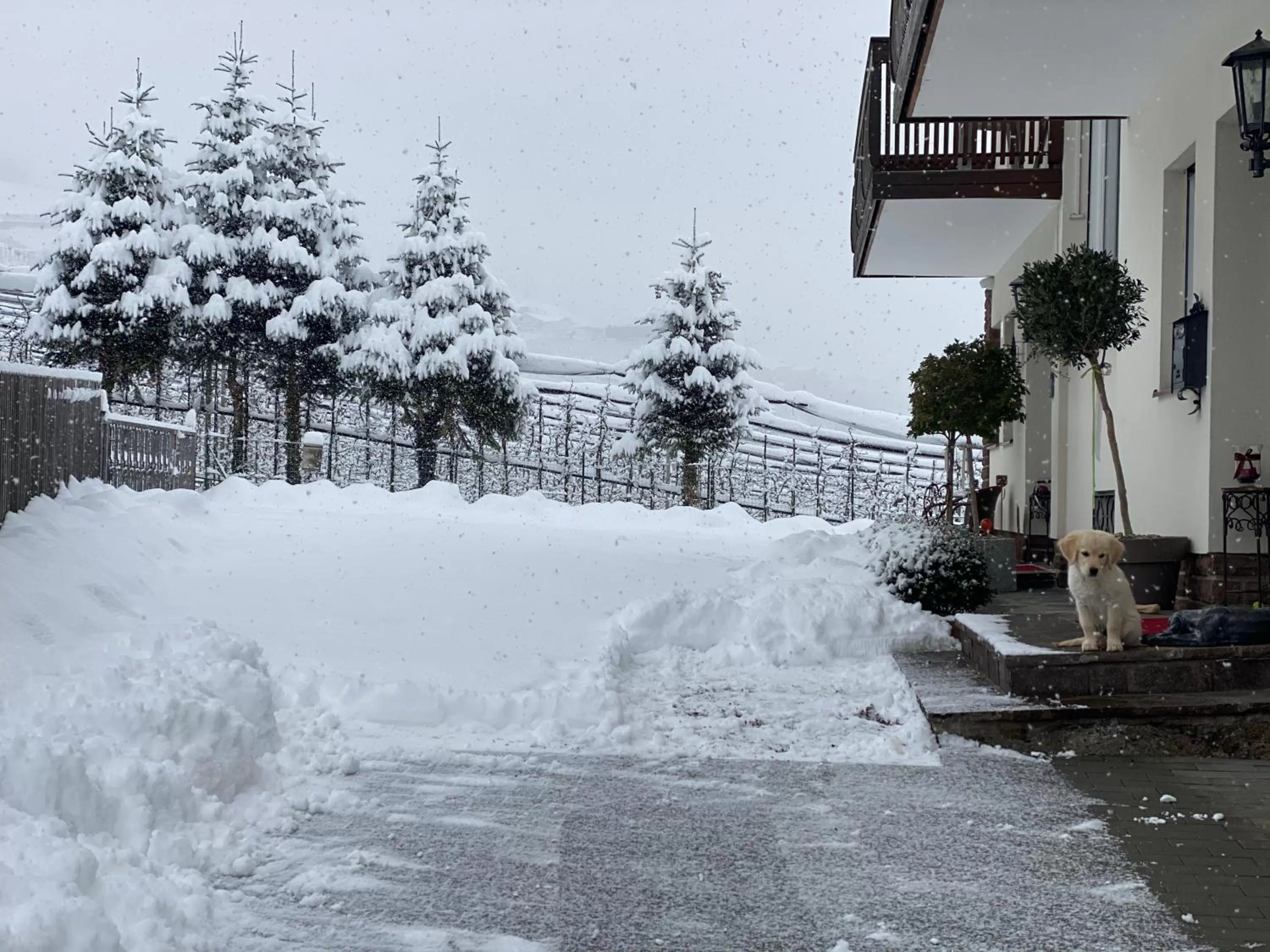 Property building in Residence Margreth