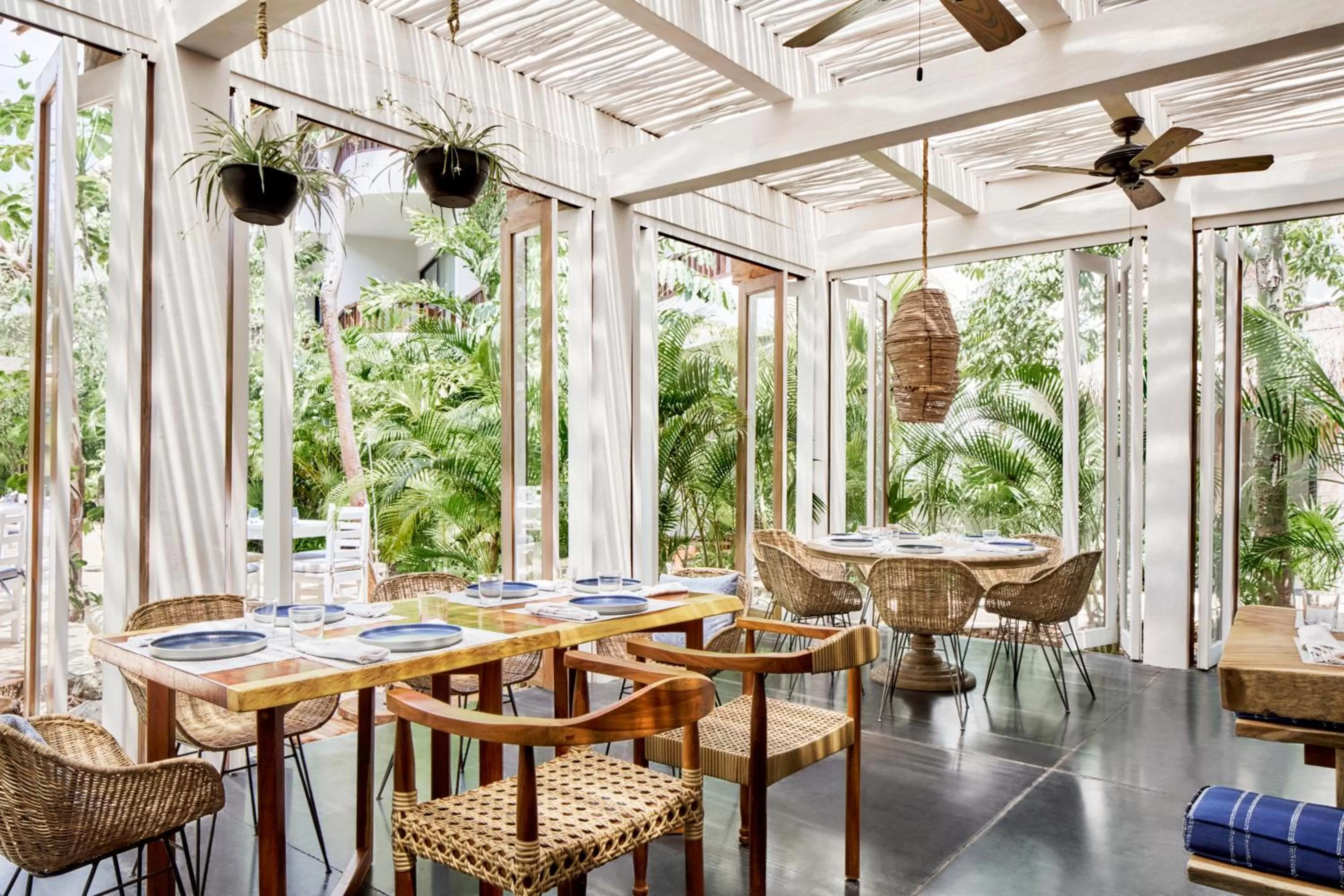 Restaurant/places to eat in Kimpton Aluna Resort Tulum by IHG
