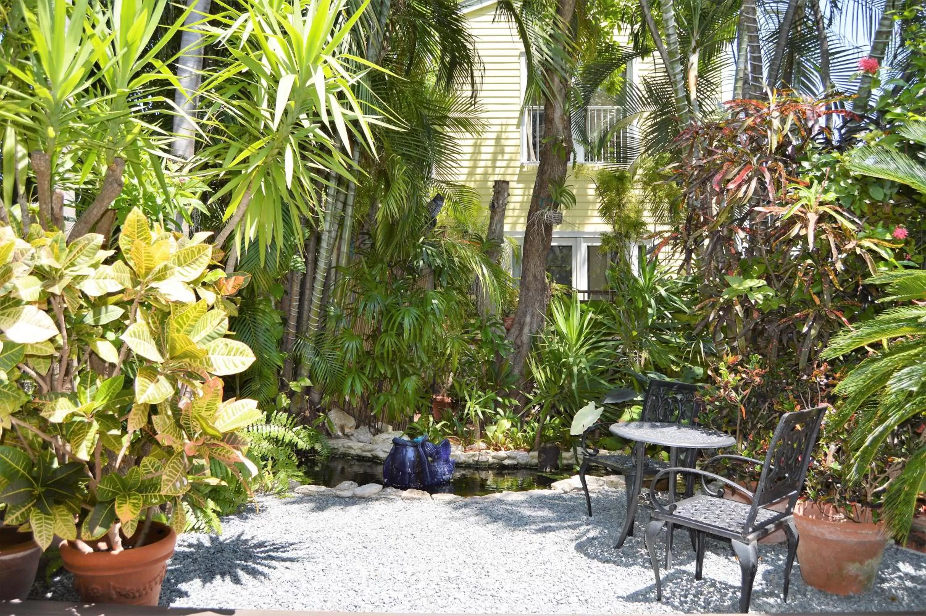 Garden in Douglas House