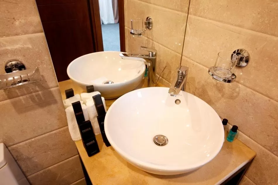 Bathroom in Cruise Hotel