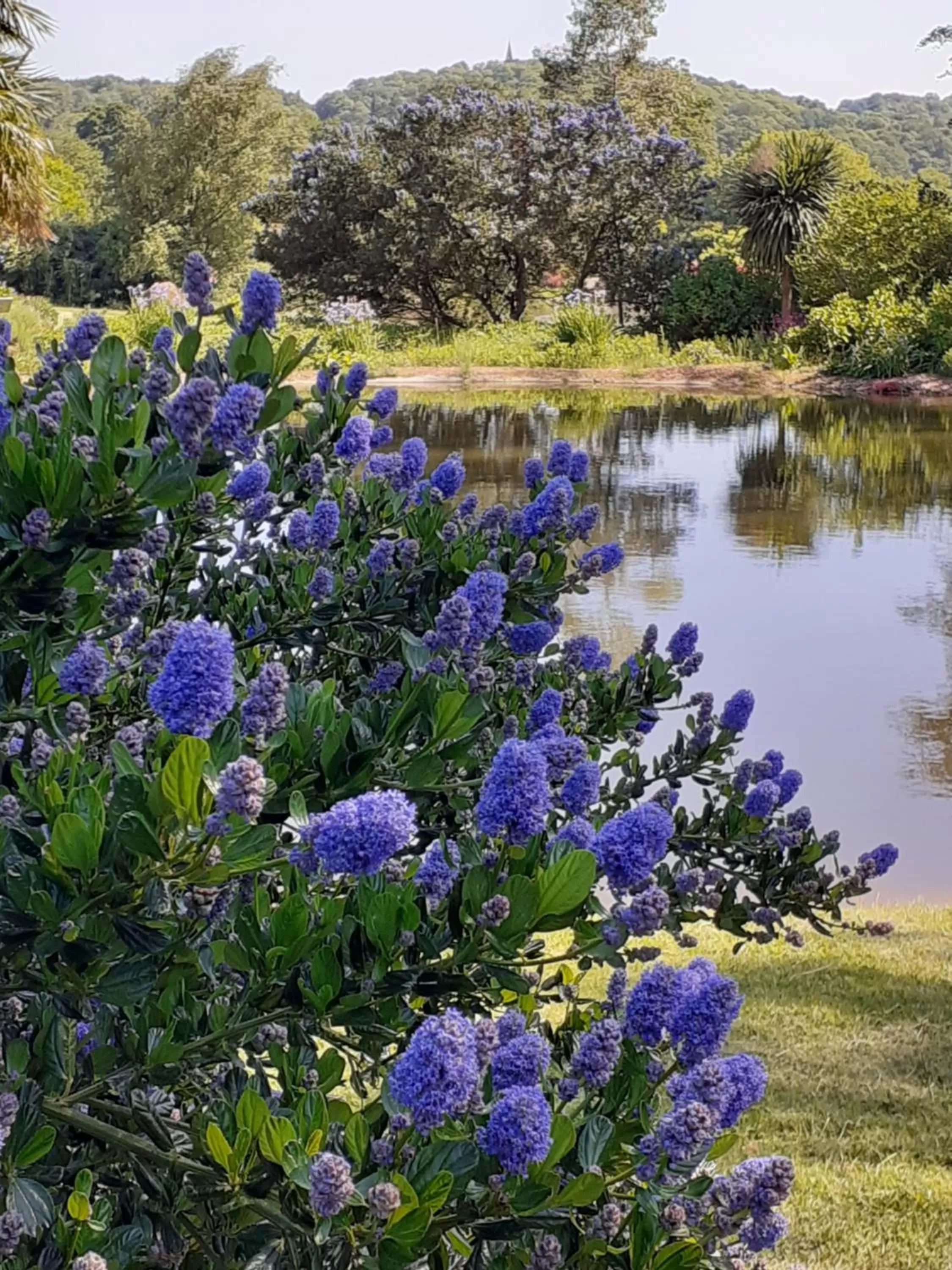 Garden in Best Western Hôtel Des Voyageurs