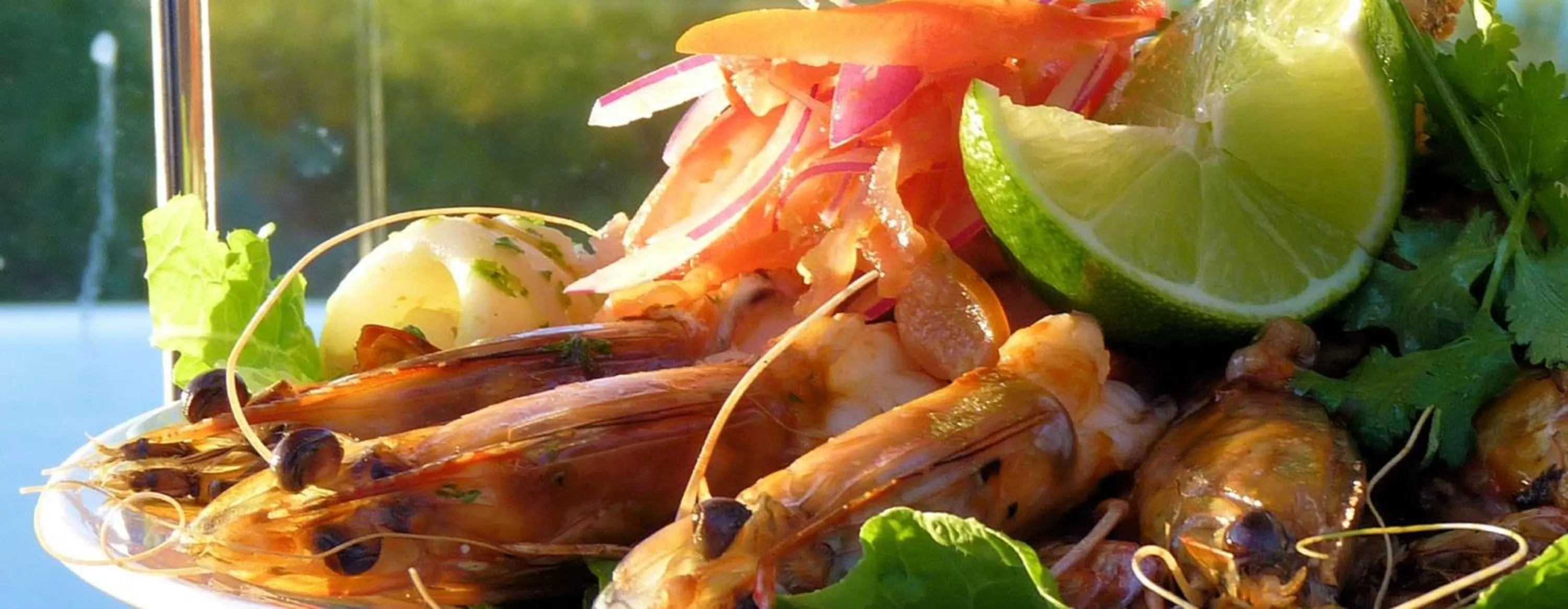 Meals in Eco Beach Wilderness Retreat