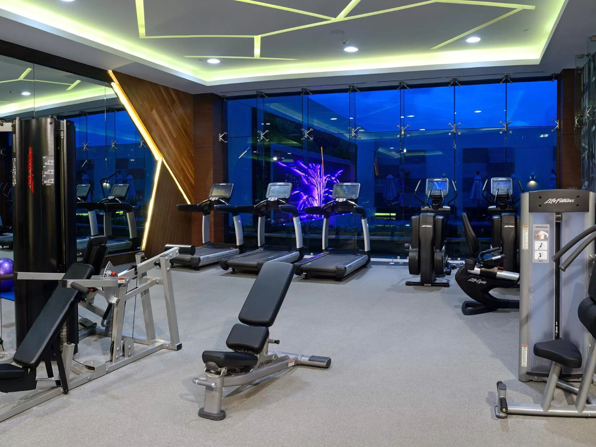 Fitness centre/facilities in HS HOTSSON Hotel Irapuato
