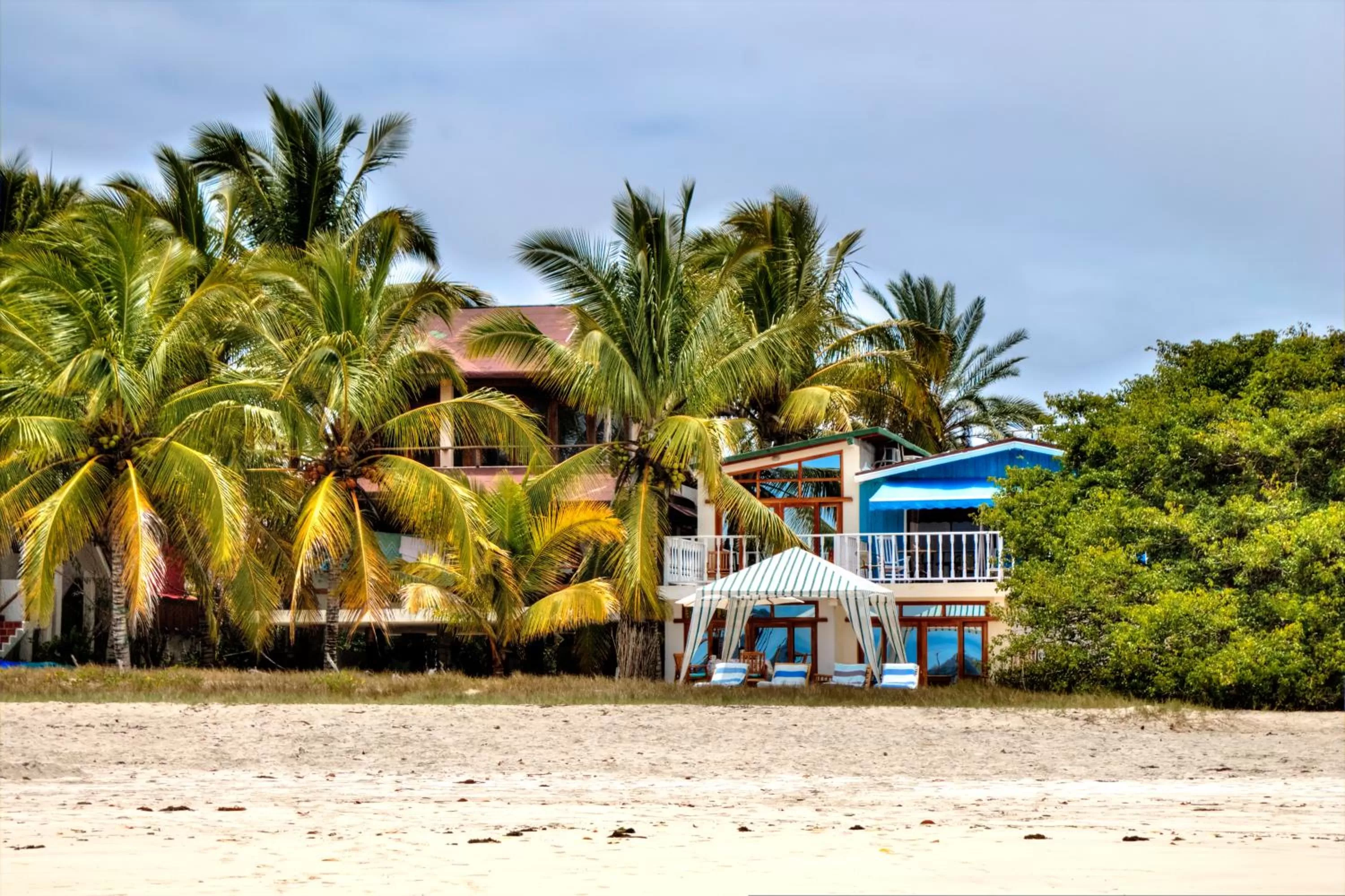 Patio in The Isabela Beach House