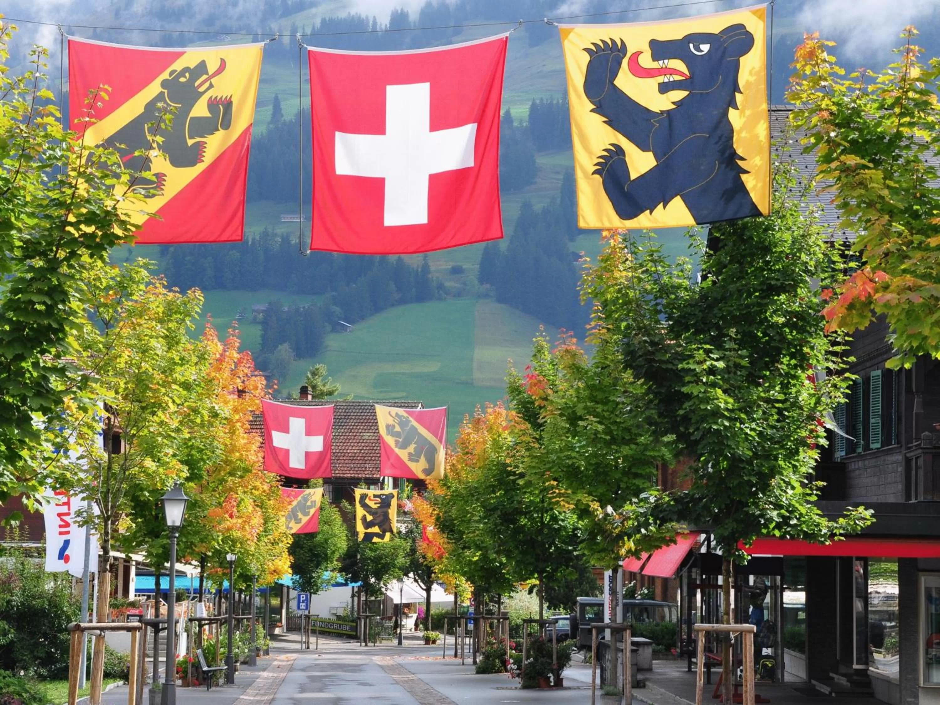 Area and facilities in Sonnegg Hotel