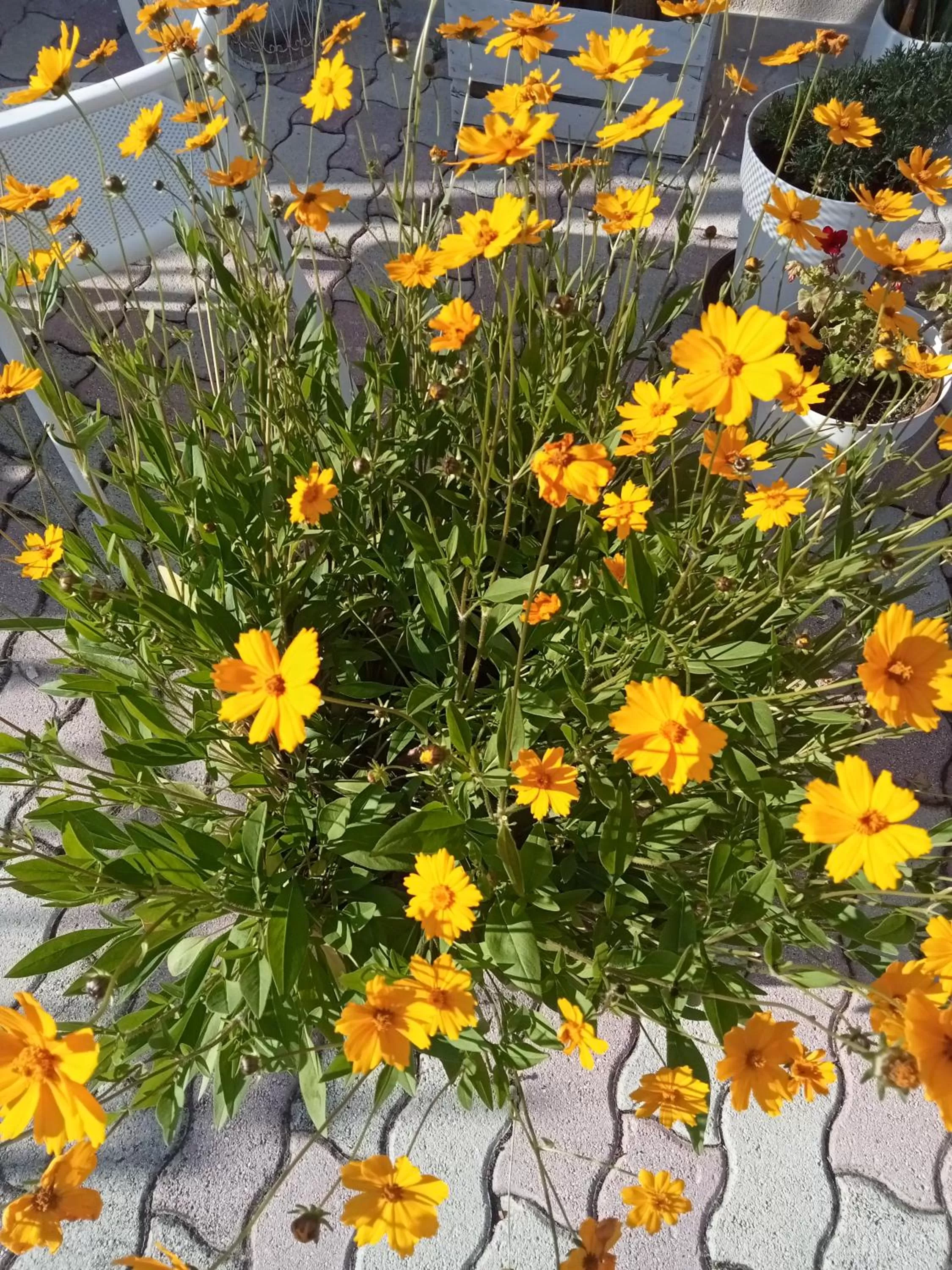 Summer in Hotel Porta Rivera